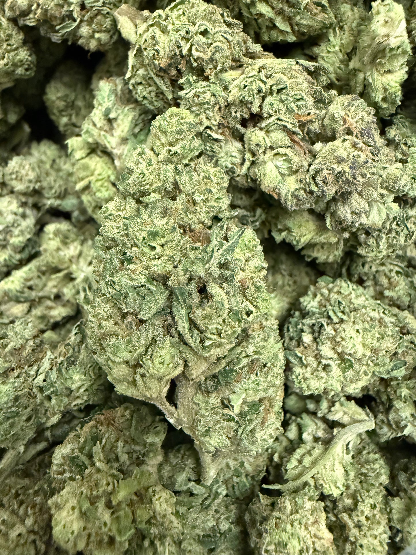1 Pound of GMO MAC THCA FL Fulfillment Center