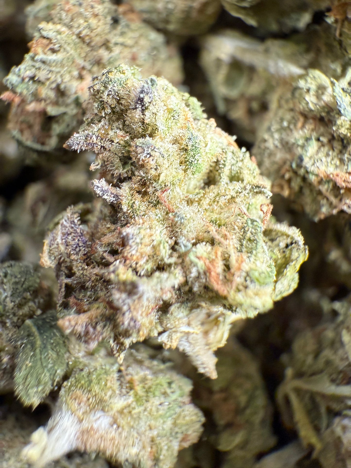 1 Pound of Grape Muffin THCA (Smalls) FL Fulfillment Center