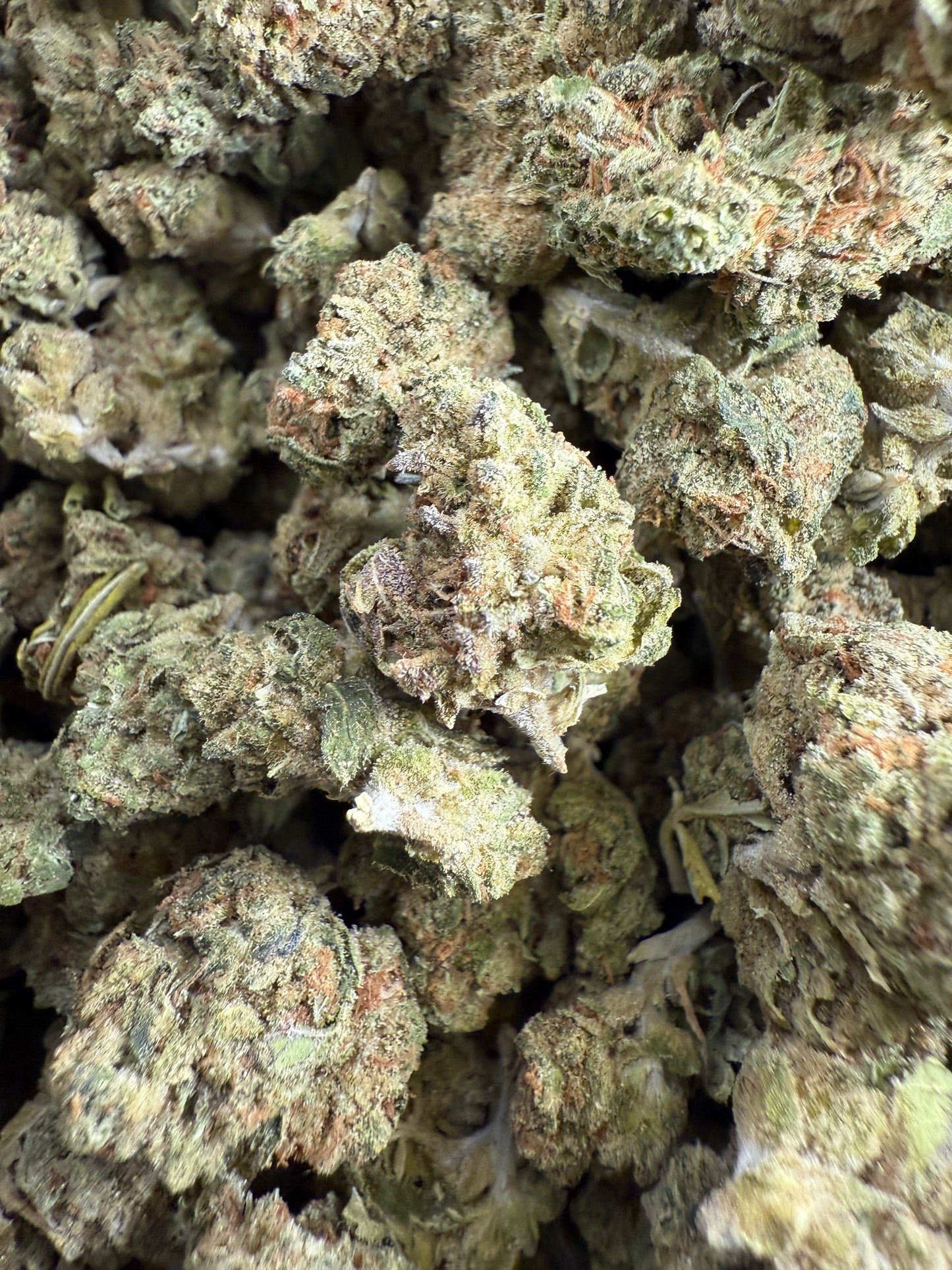 1 Pound of Grape Muffin THCA (Smalls) FL Fulfillment Center