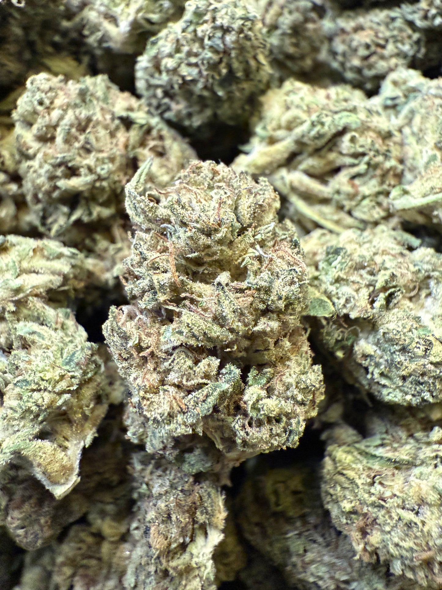 1 Pound of Kind Cake THCA FL Fulfillment Center