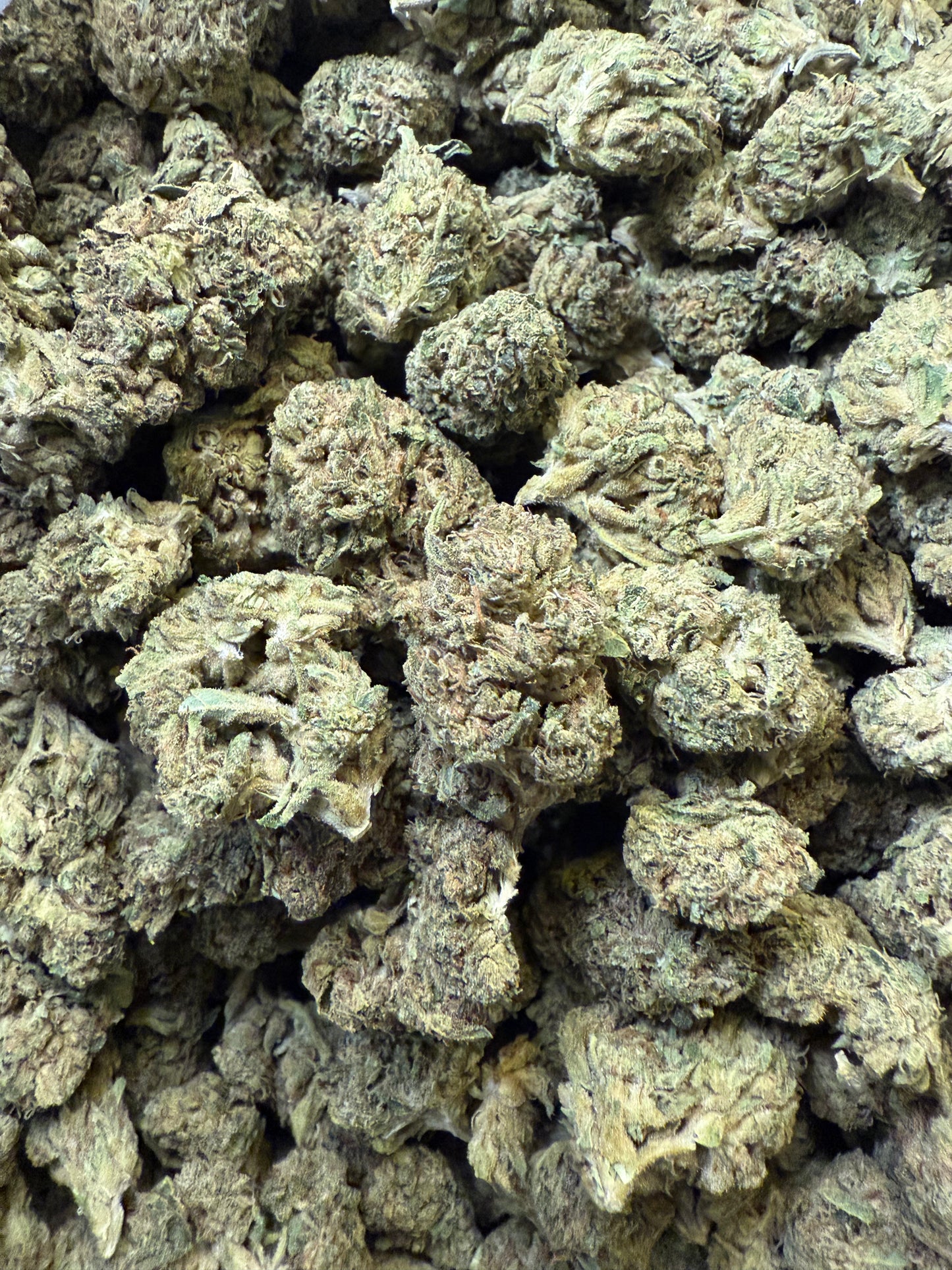 1 Pound of Kind Cake THCA FL Fulfillment Center