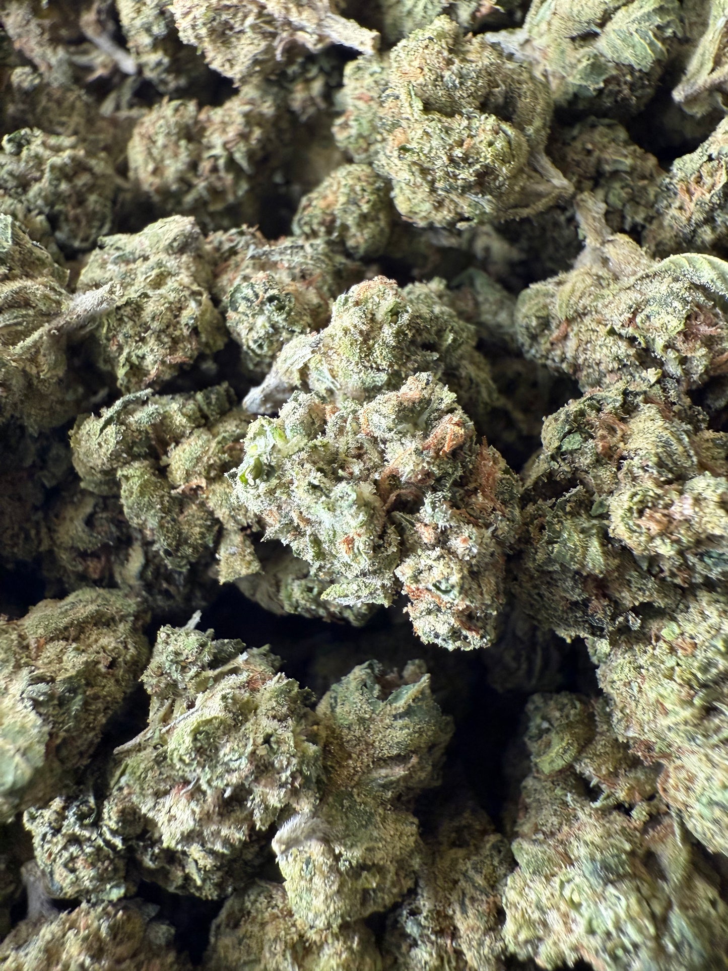 1 Pound of Kind Cake THCA FL Fulfillment Center