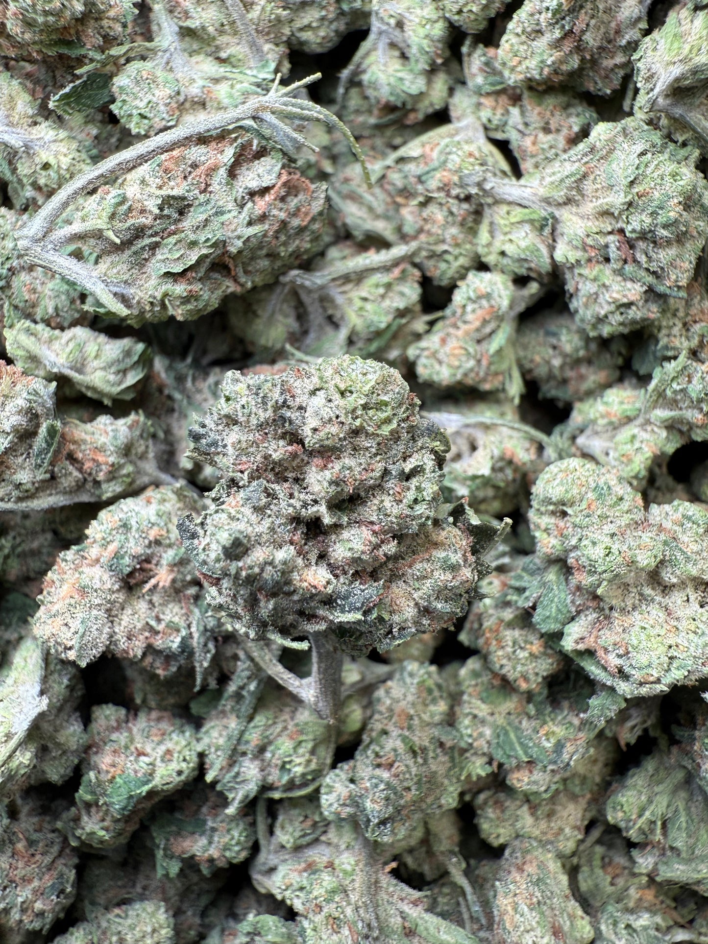 1 Pound of Purple LSD THCA (Small) FL Fulfillment Center