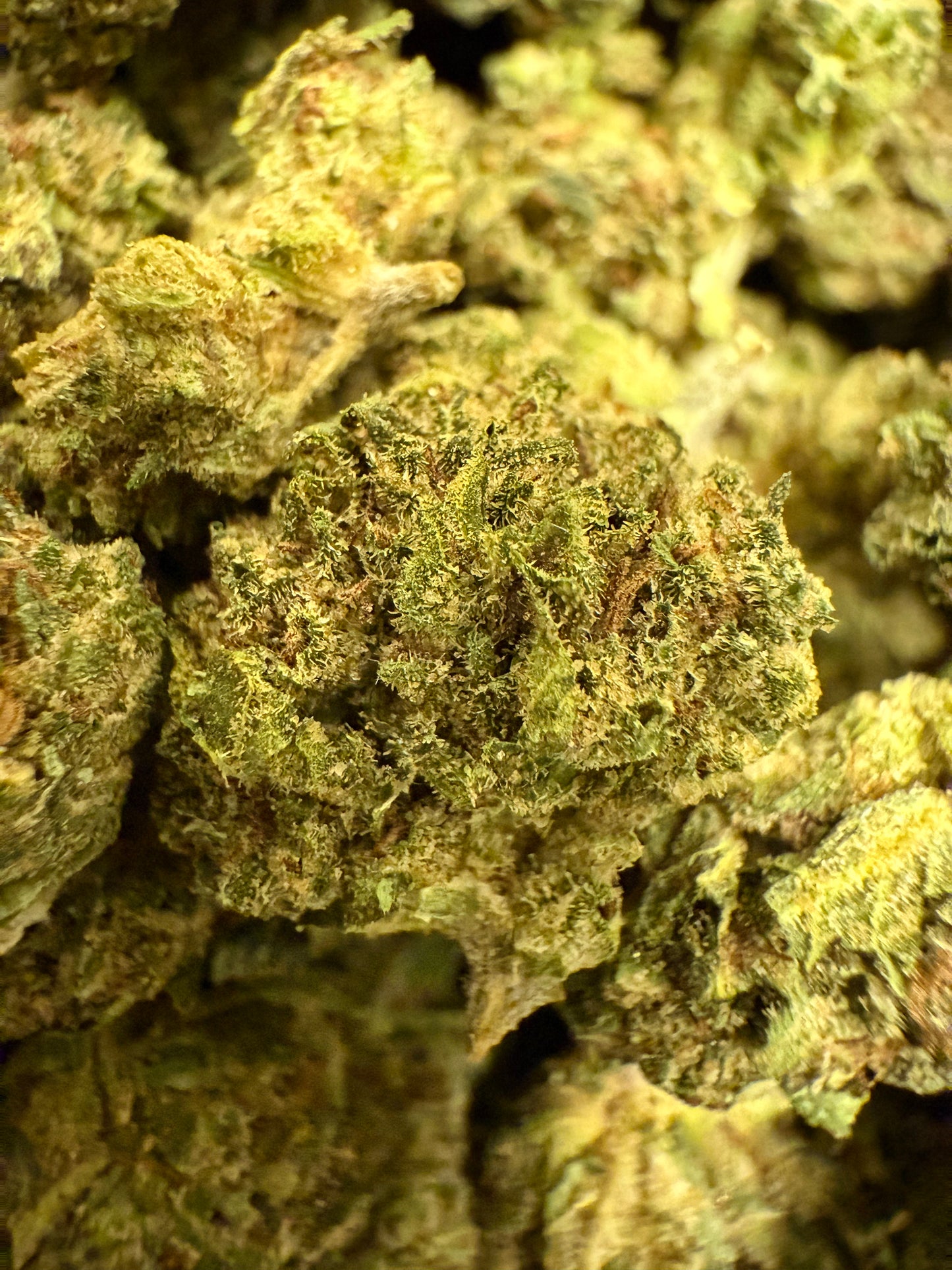 1 Pound of Runtz THCA (Smalls) FL Fulfillment Center