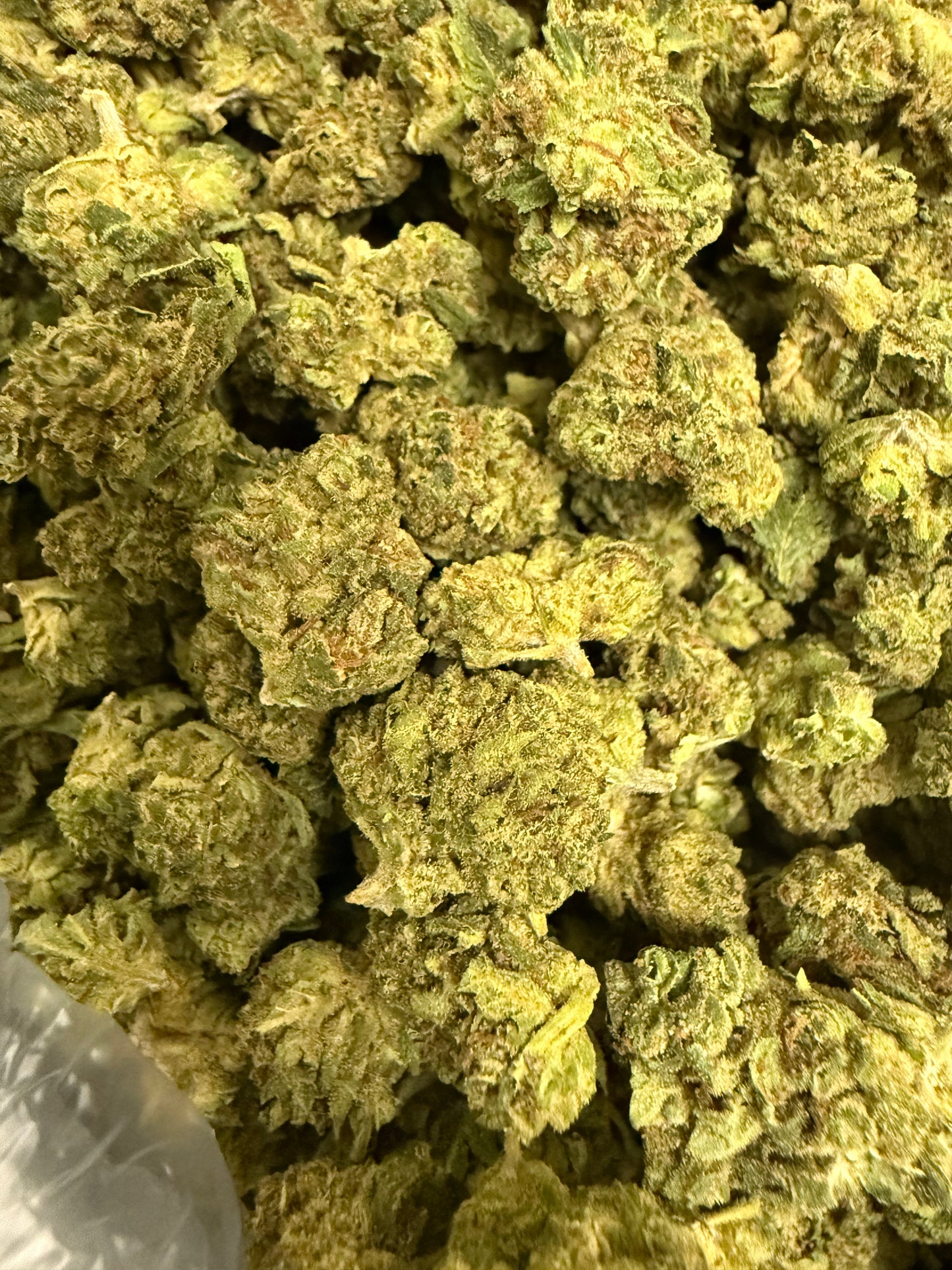 1 Pound of Runtz THCA (Smalls) FL Fulfillment Center