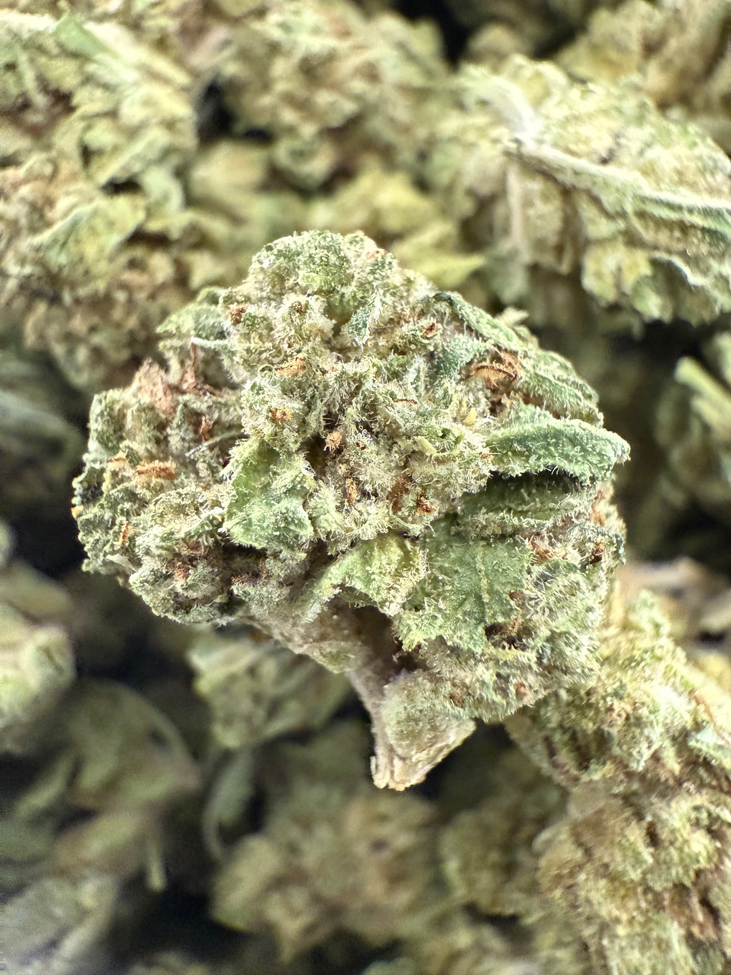 1 Pound of Zoap THCA (Smalls) FL Fulfillment Center