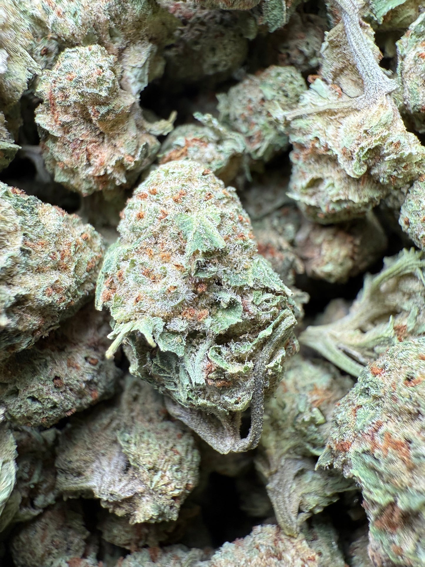 1 Pound - Josh D 1996 THCA Strain (Small) Frisco Labs