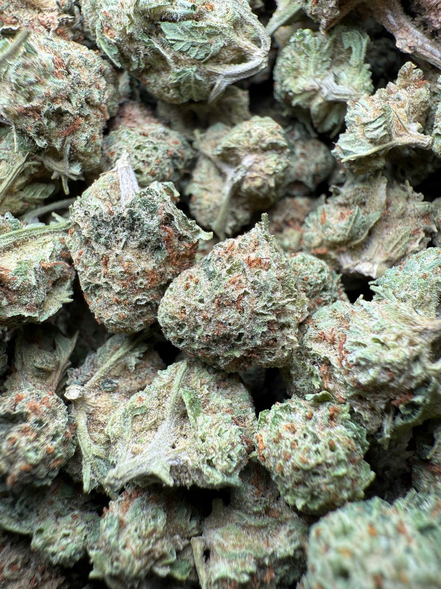 1 Pound - Josh D 1996 THCA Strain (Small) Frisco Labs