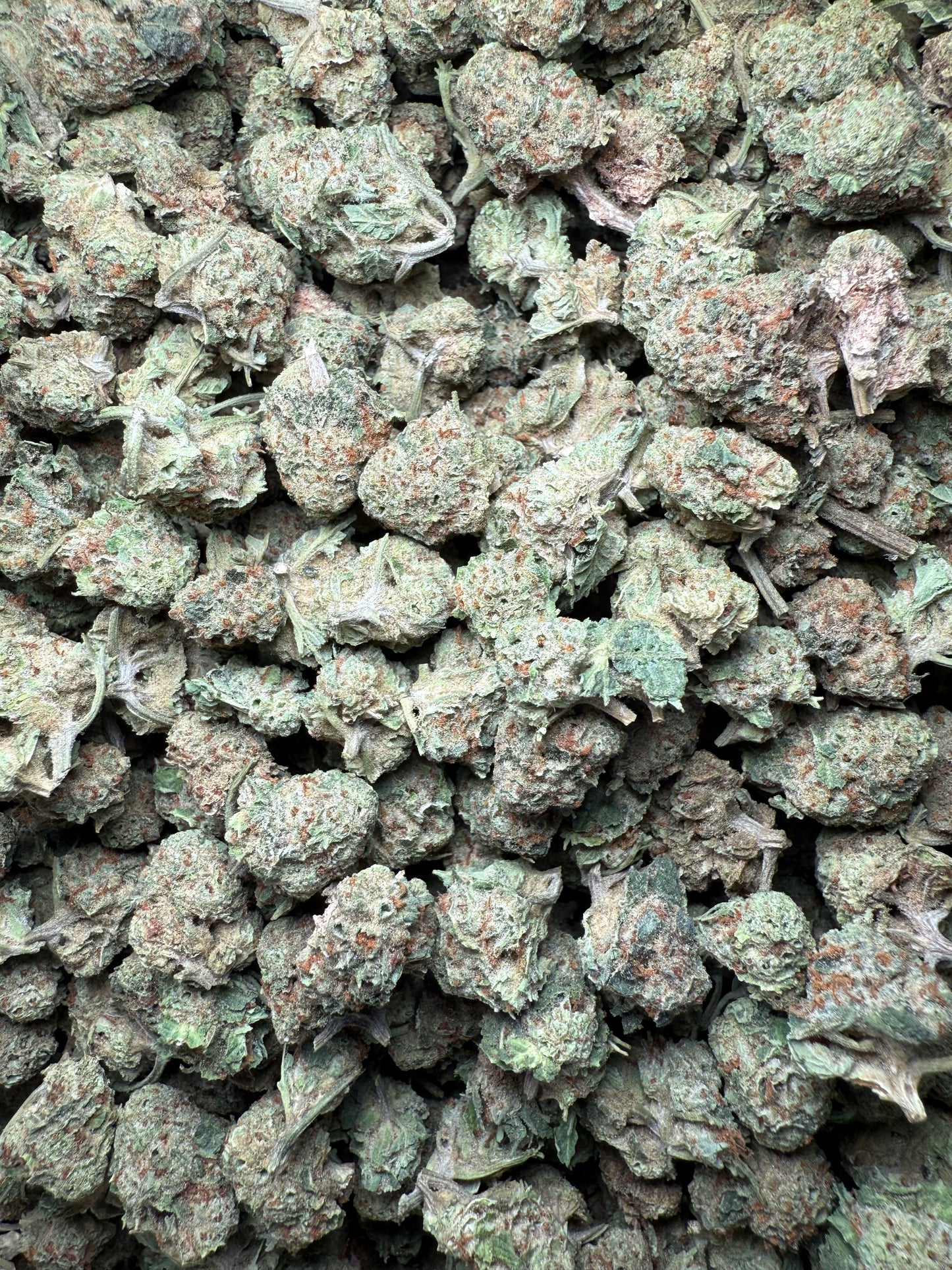 1 Pound - Josh D 1996 THCA Strain (Small) Frisco Labs