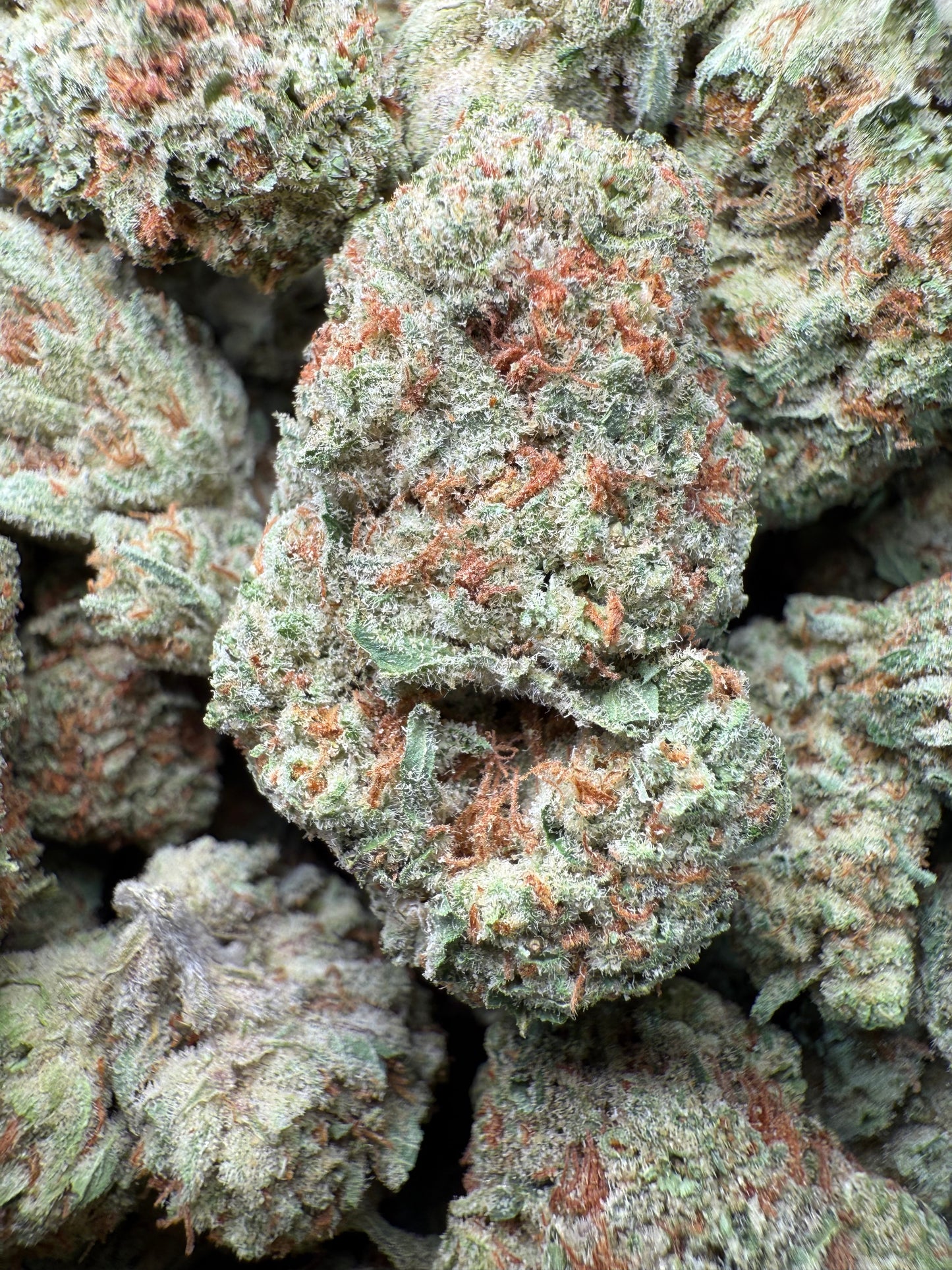 1 Pound - AAA Blue Dream Queen THCA Strain Frisco Labs