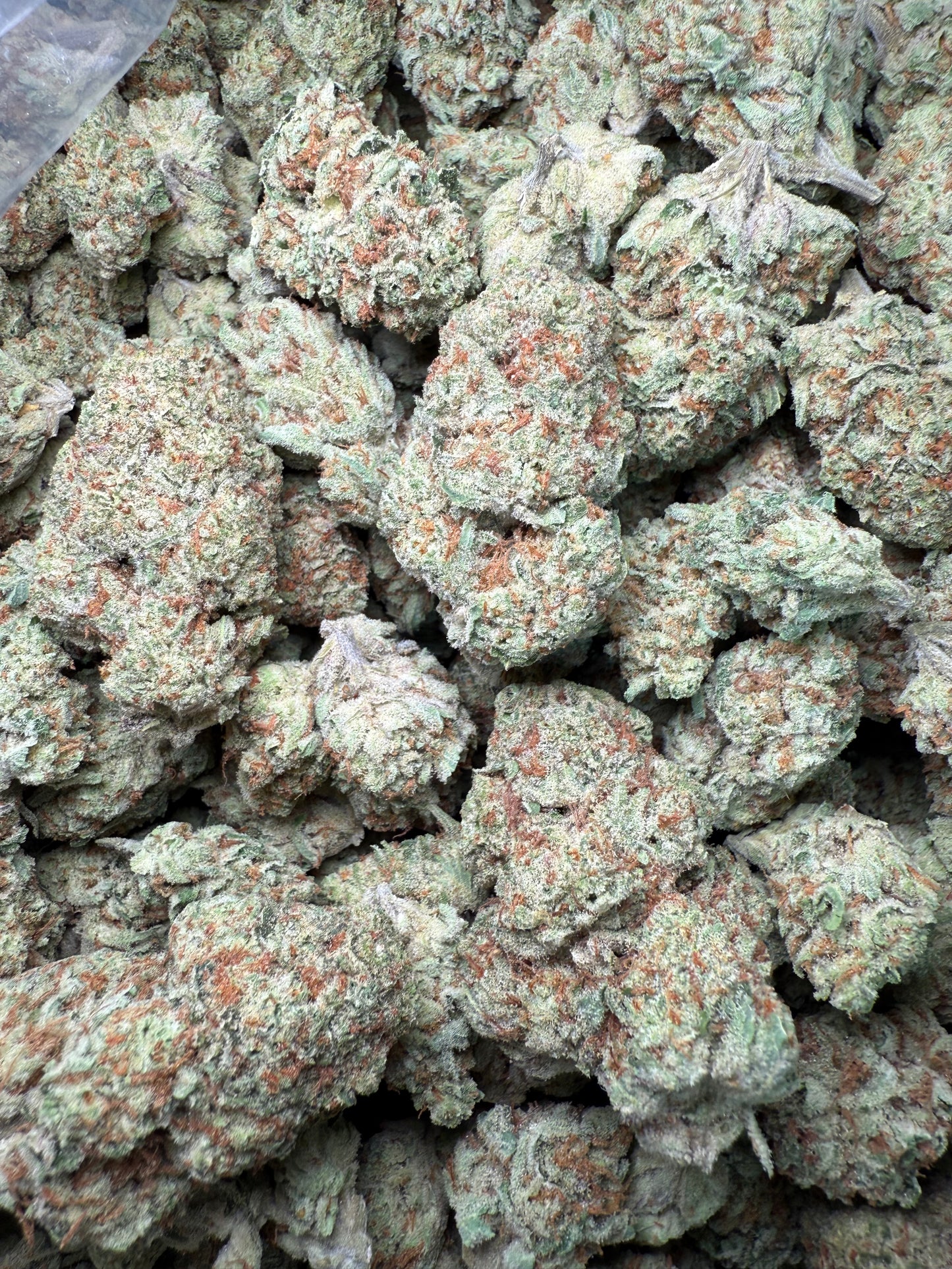 1 Pound - AAA Blue Dream Queen THCA Strain Frisco Labs