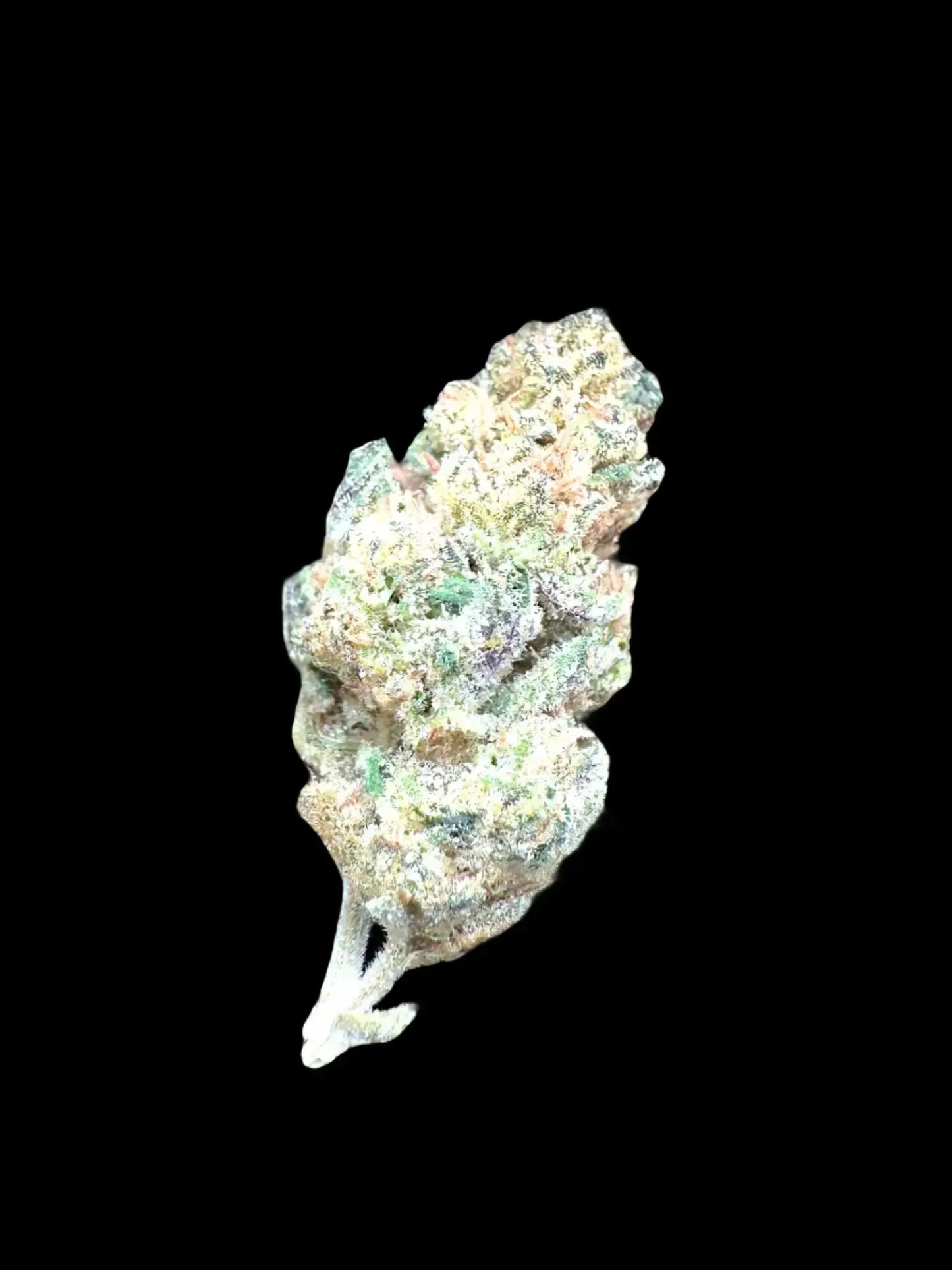 AAA Indoor Exotic - Grape Gas THCA Strain