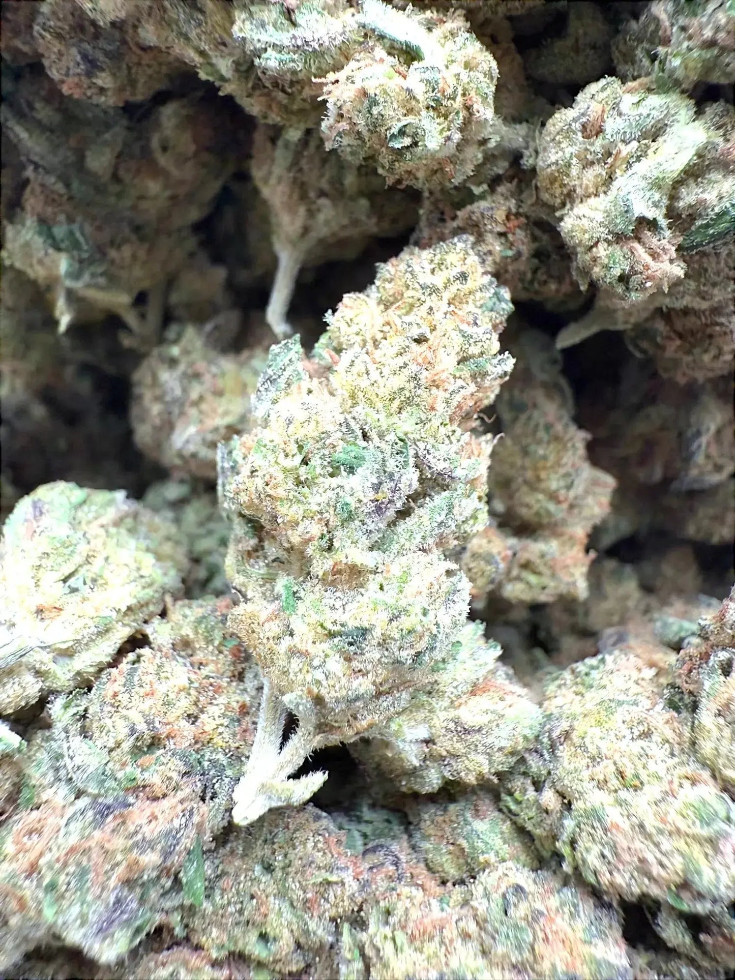 AAA Indoor Exotic - Grape Gas THCA Strain