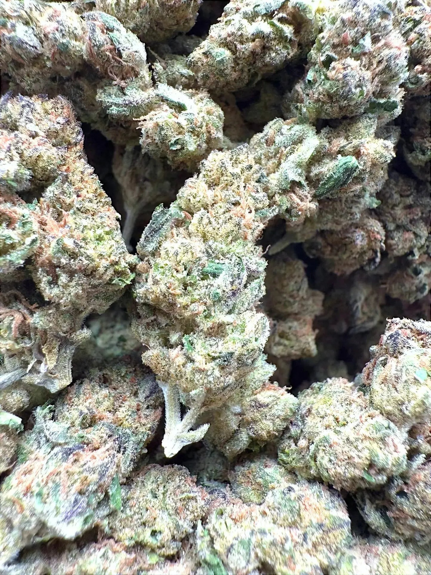 AAA Indoor Exotic - Grape Gas THCA Strain