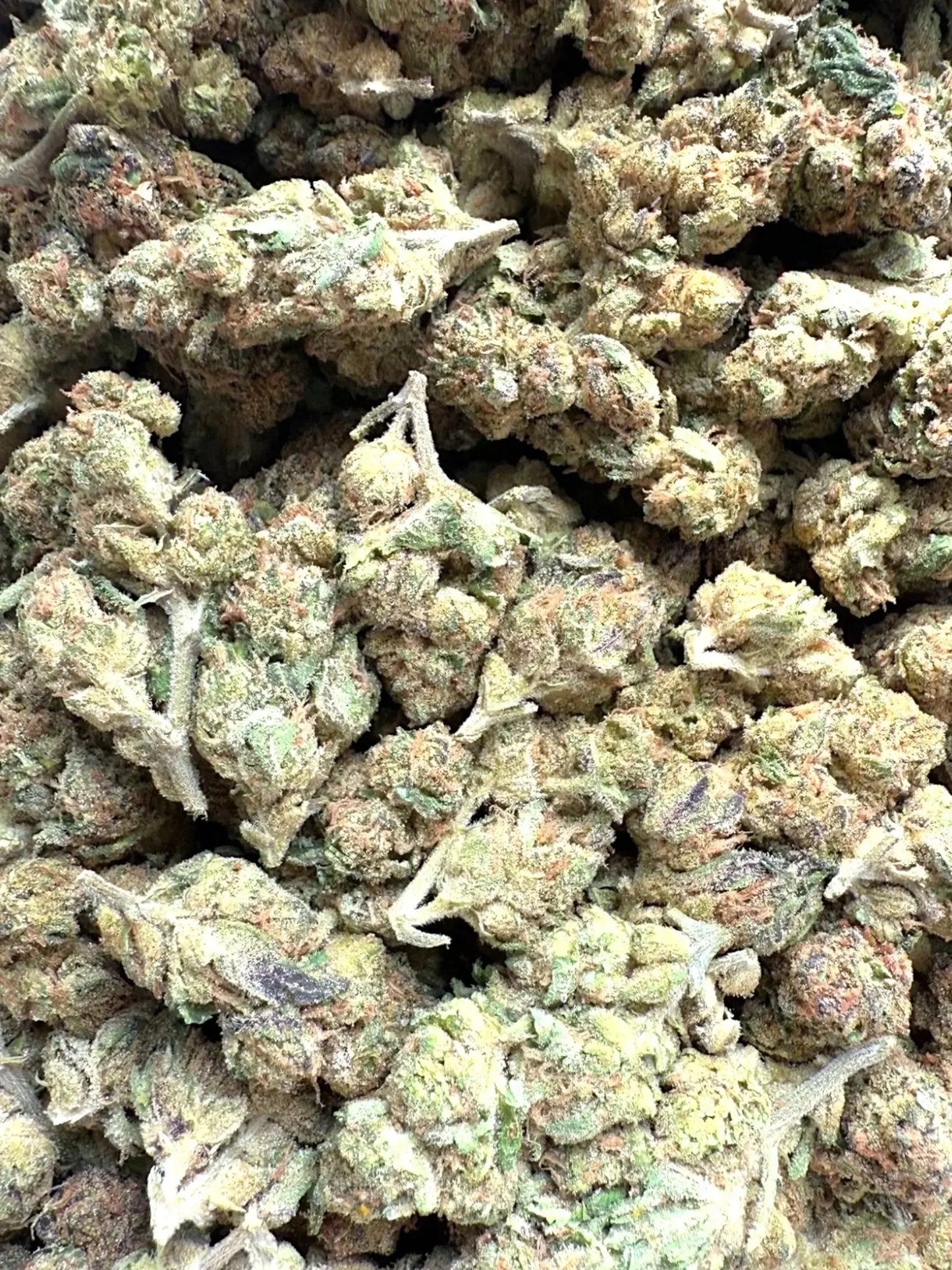 AAA Indoor Exotic - Grape Gas THCA Strain