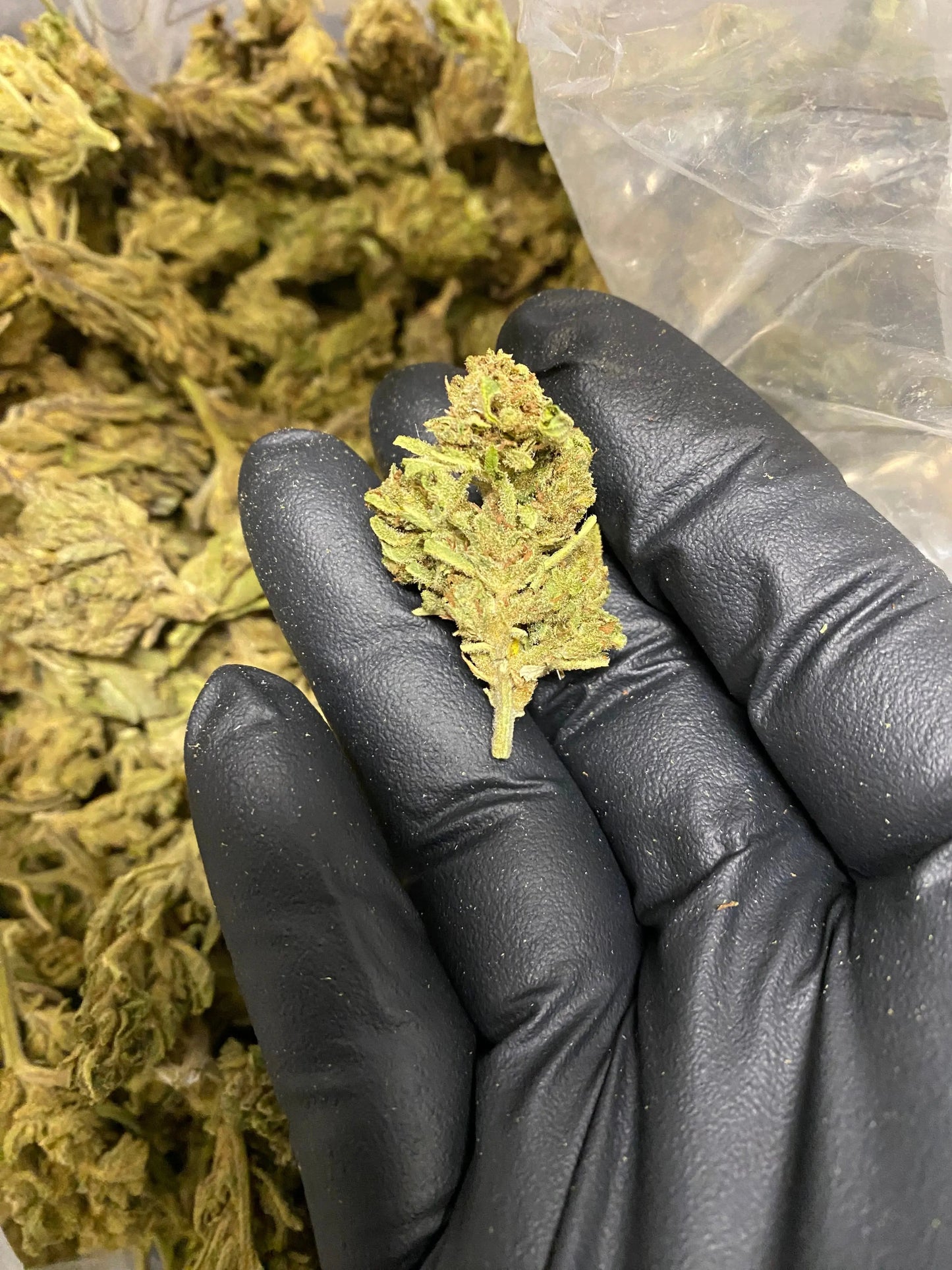 Afgani THCA - Frisco Labs