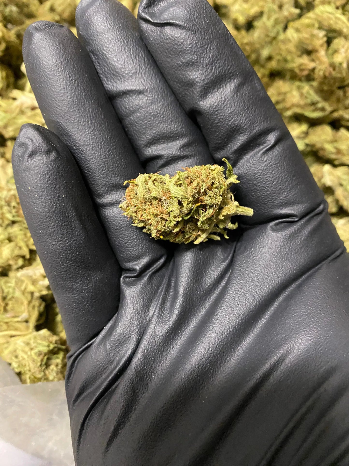 Amnesia THCA - Frisco Labs