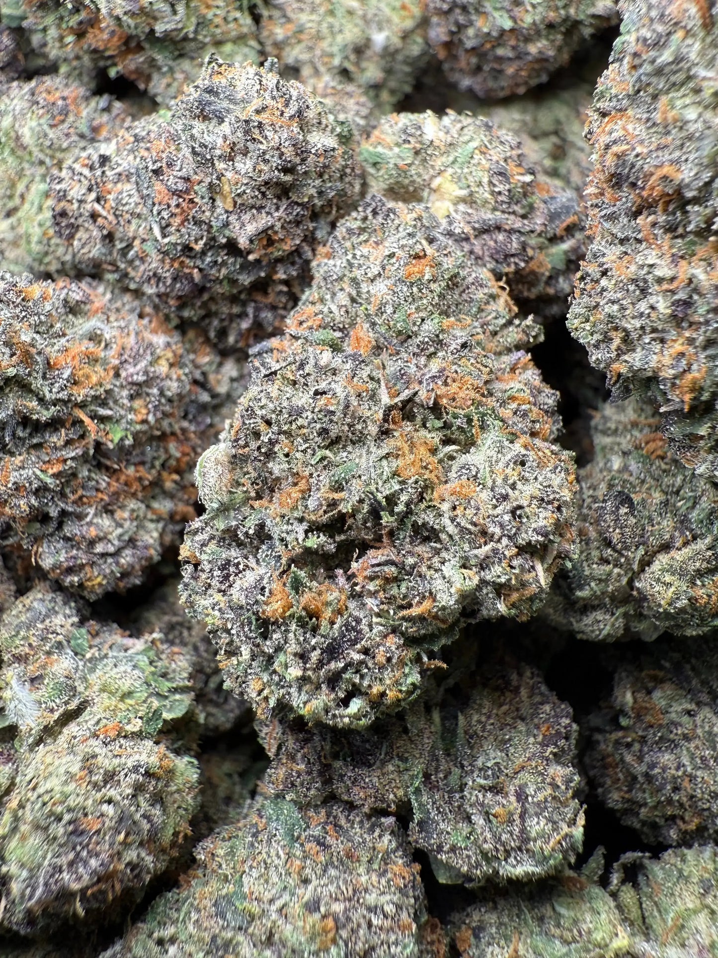 ½ oz AAA White Runtz (Indoor) FL Fulfillment Center