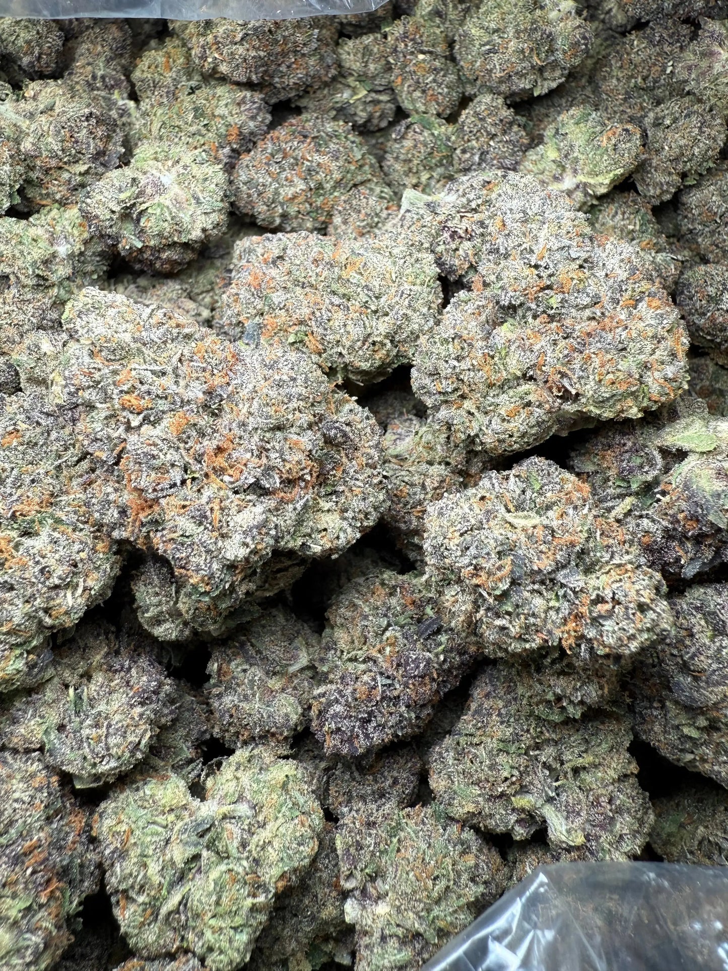 ½ oz AAA White Runtz (Indoor) FL Fulfillment Center
