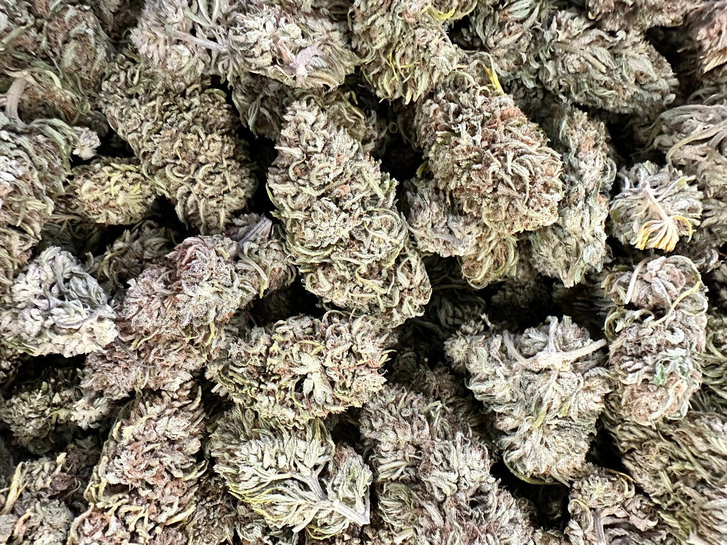 Desert Snow CBG Strain - Frisco Labs