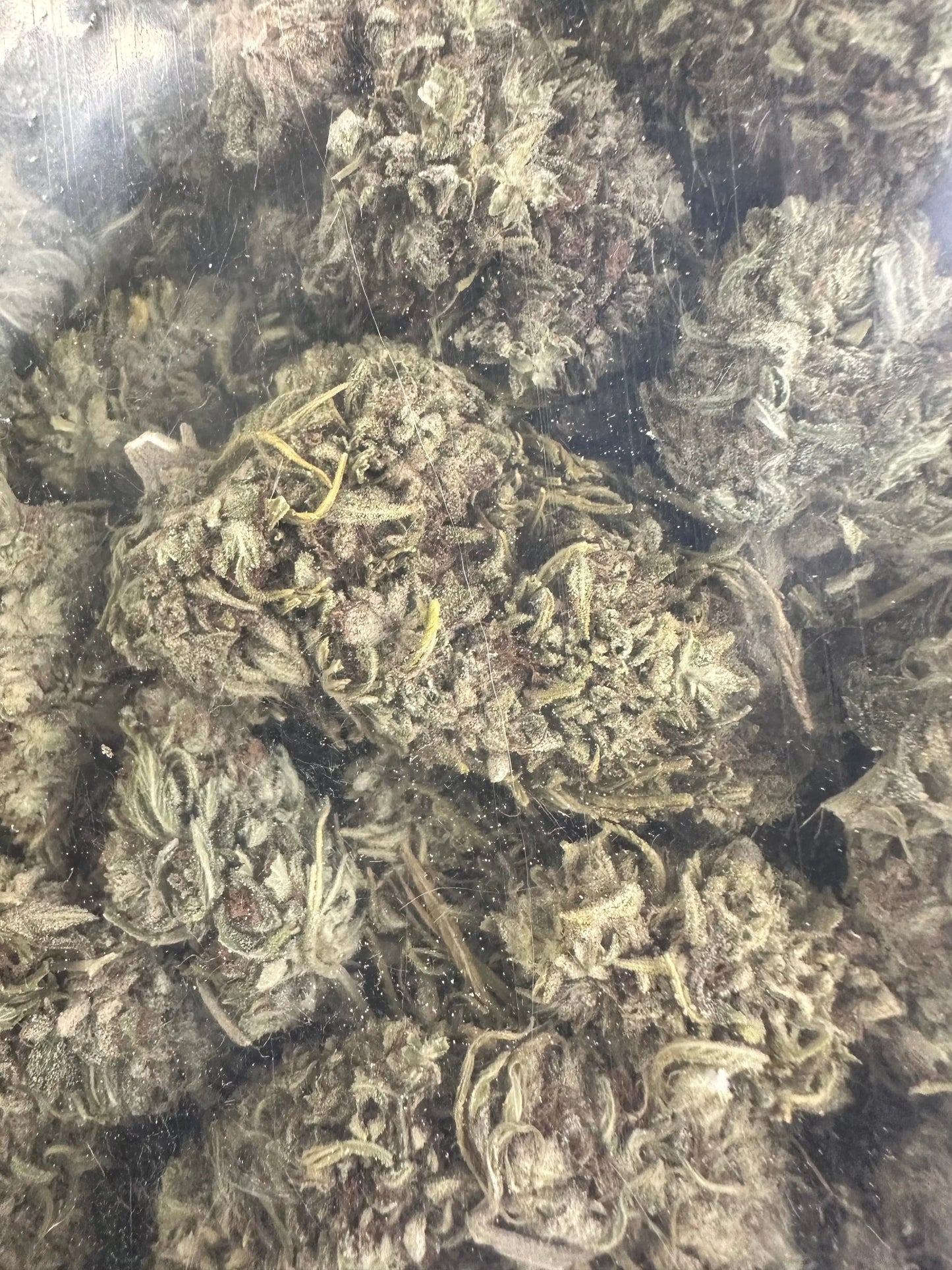 Desert Snow CBG Strain - Frisco Labs
