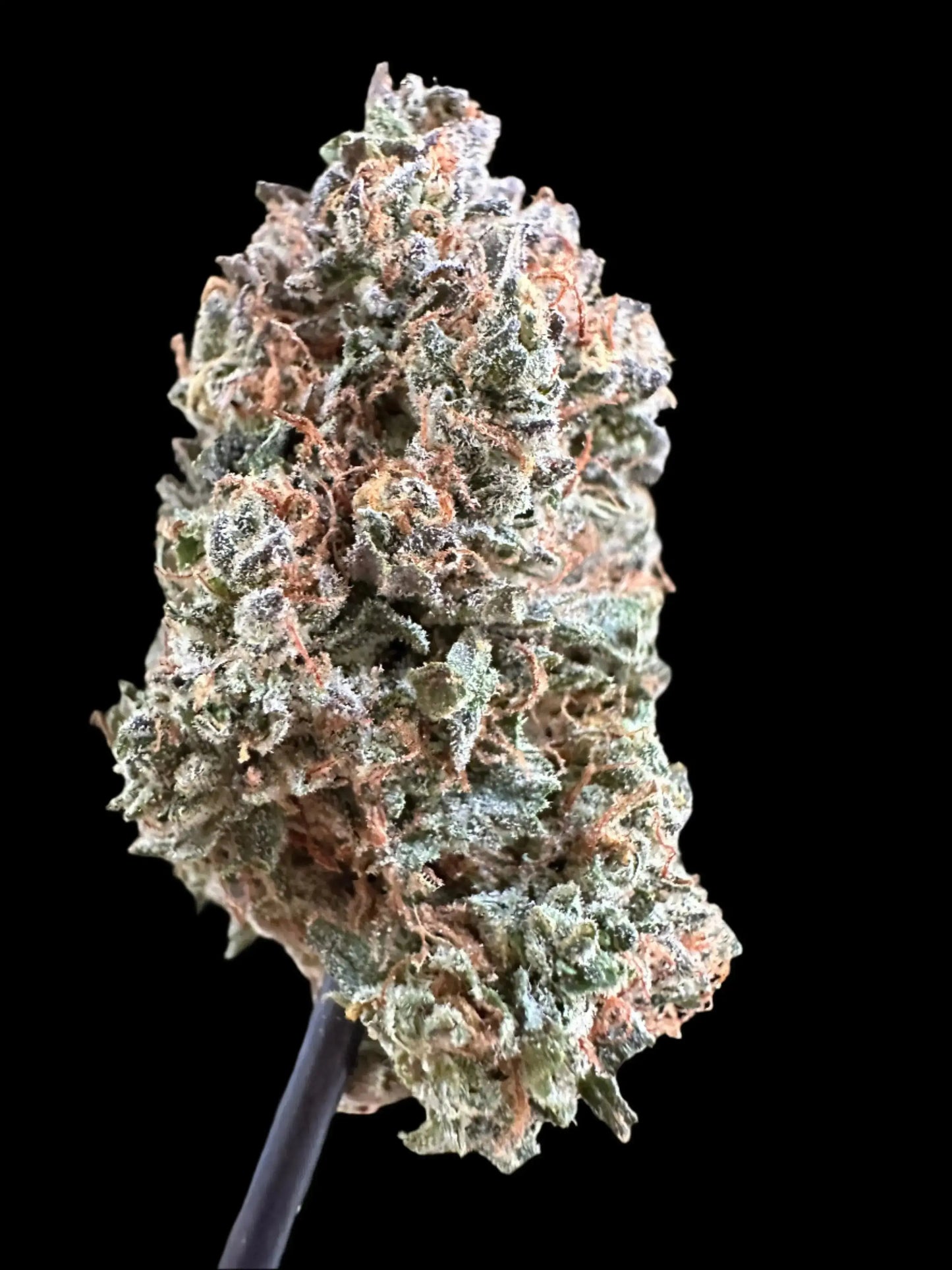 Frisco Labs Indoor Exotic Pineapple Diesel
