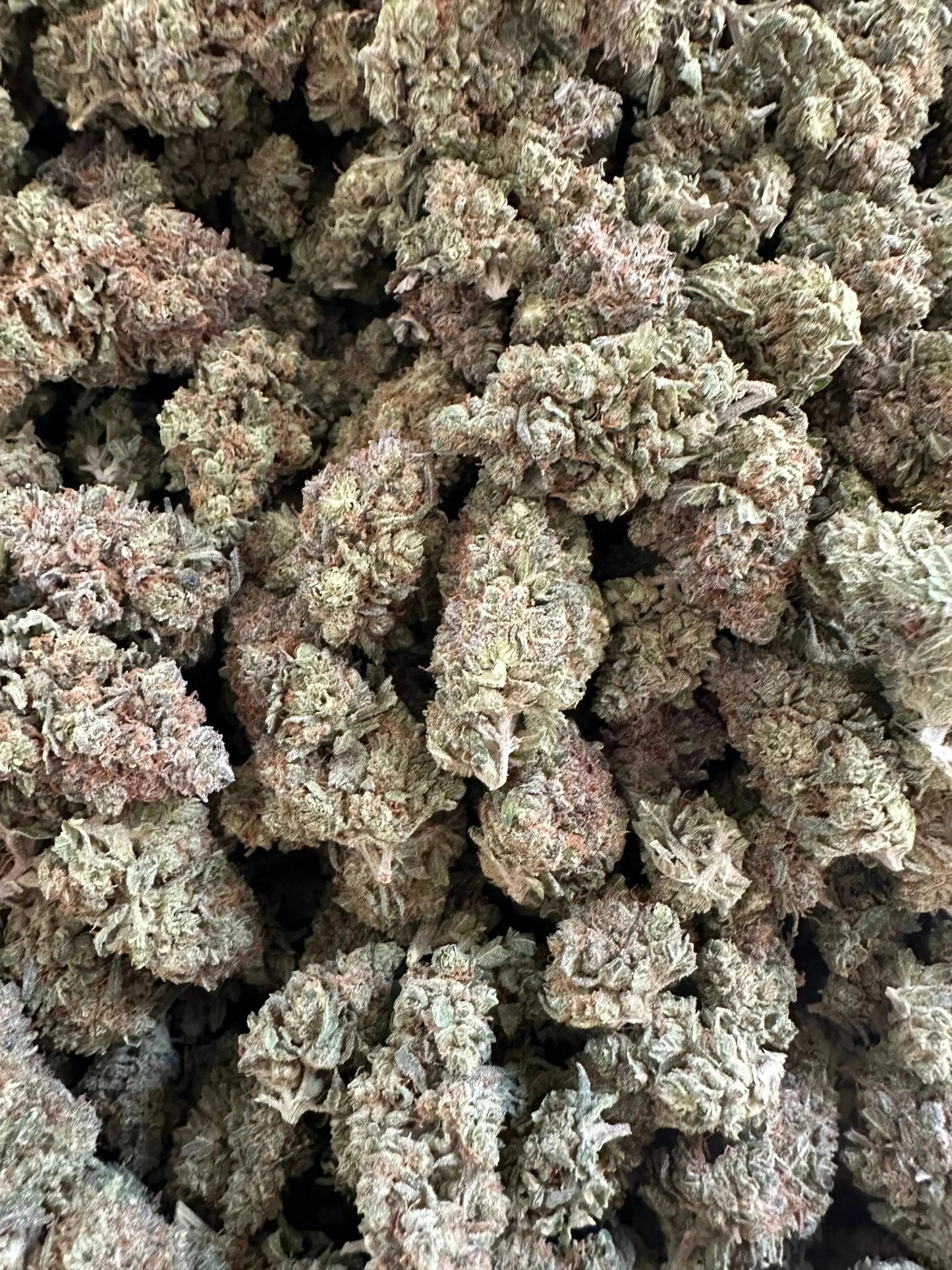 Frisco Labs Indoor Exotic Pineapple Diesel