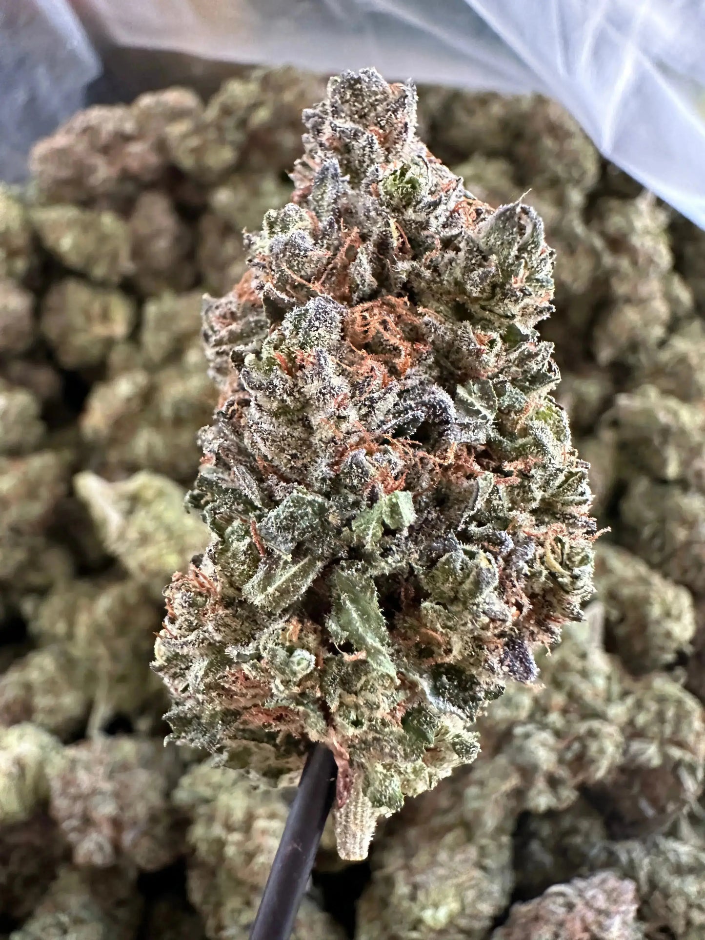 Frisco Labs Indoor Exotic Pineapple Diesel