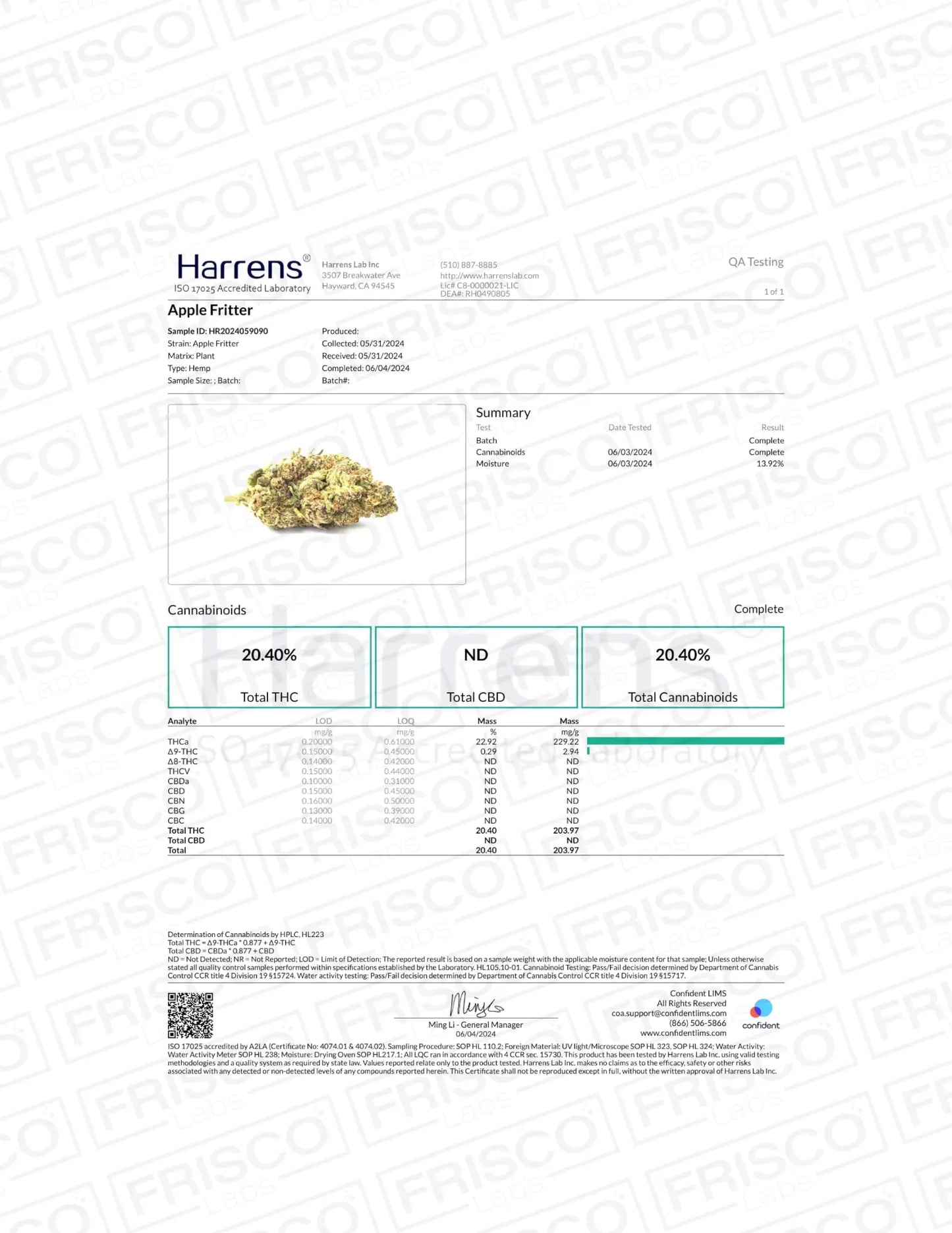 Apple Fritter Cannabis Strain