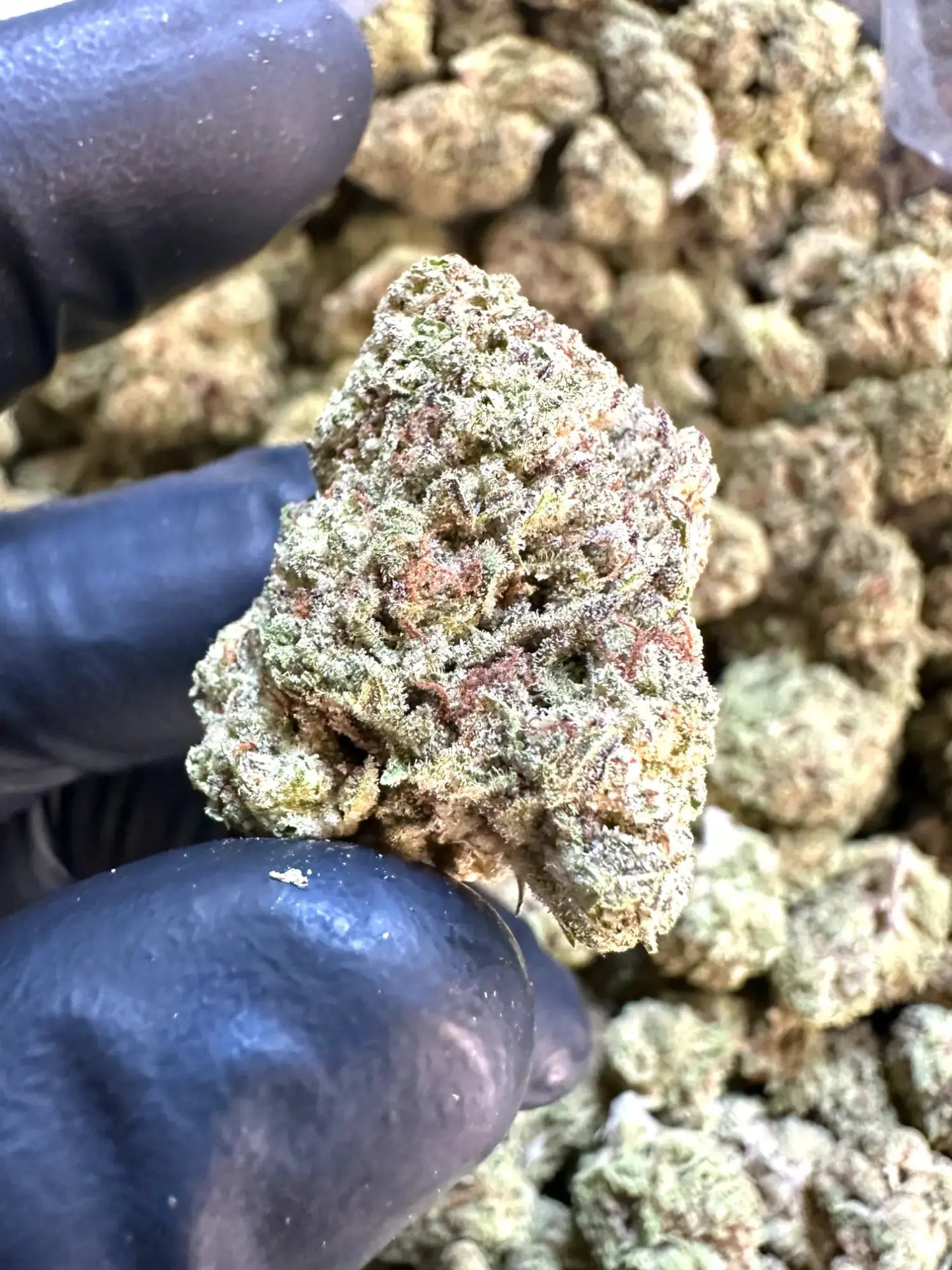 Frisco Labs - Exotic Cadillac Rainbow THCA Strain