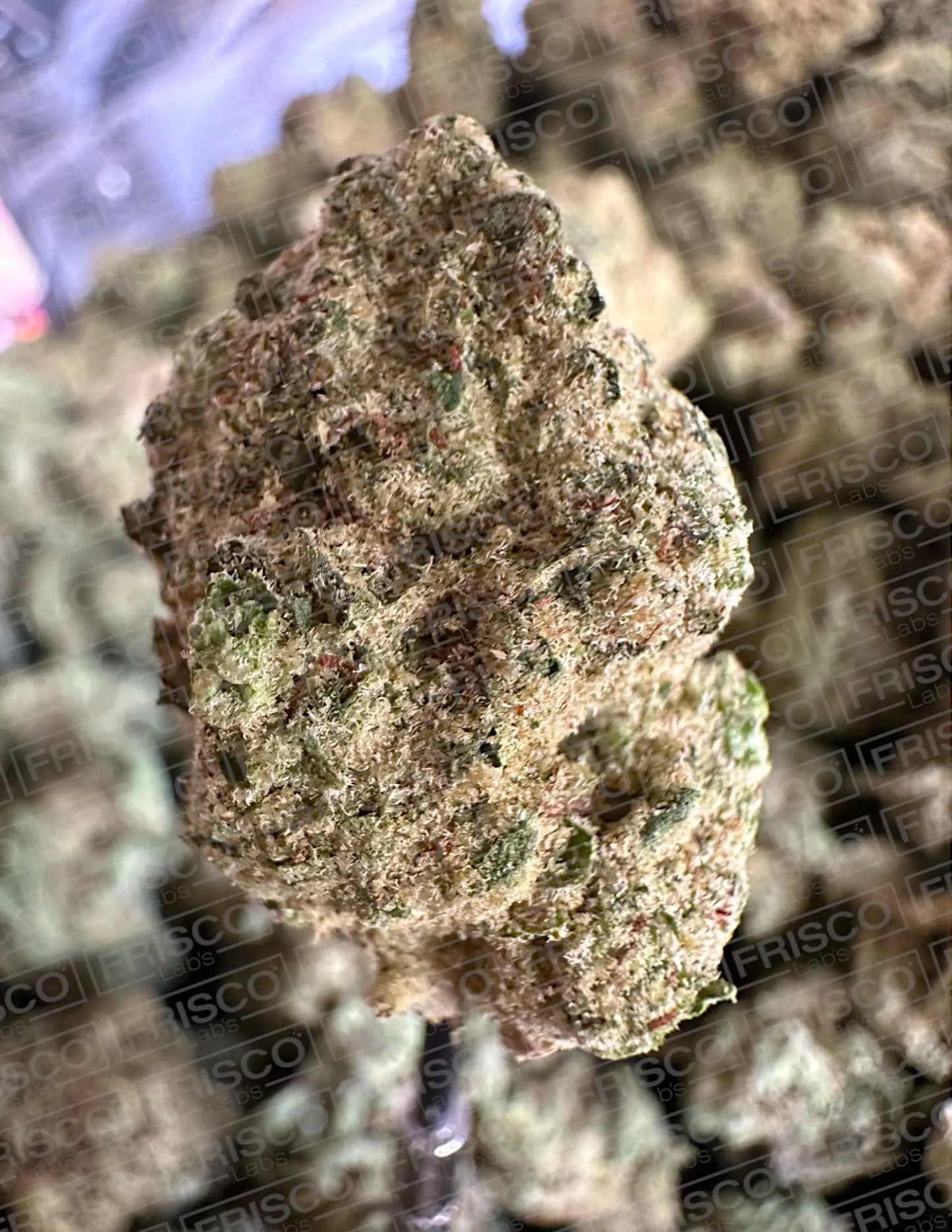 Frisco Labs Exotic Indoor Super Glue OG THCA Strain Frisco Labs