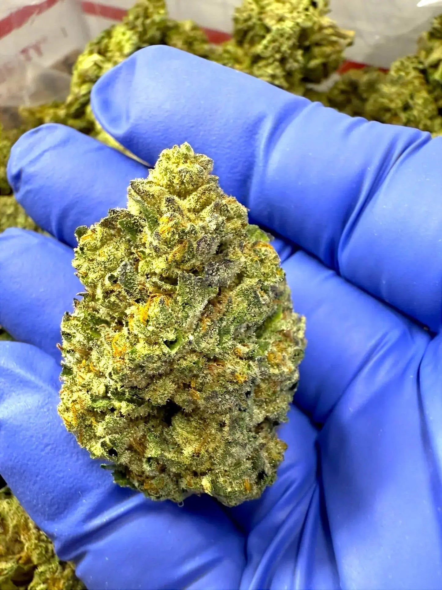 Frisco Labs - Grease Monkey Strain THCA