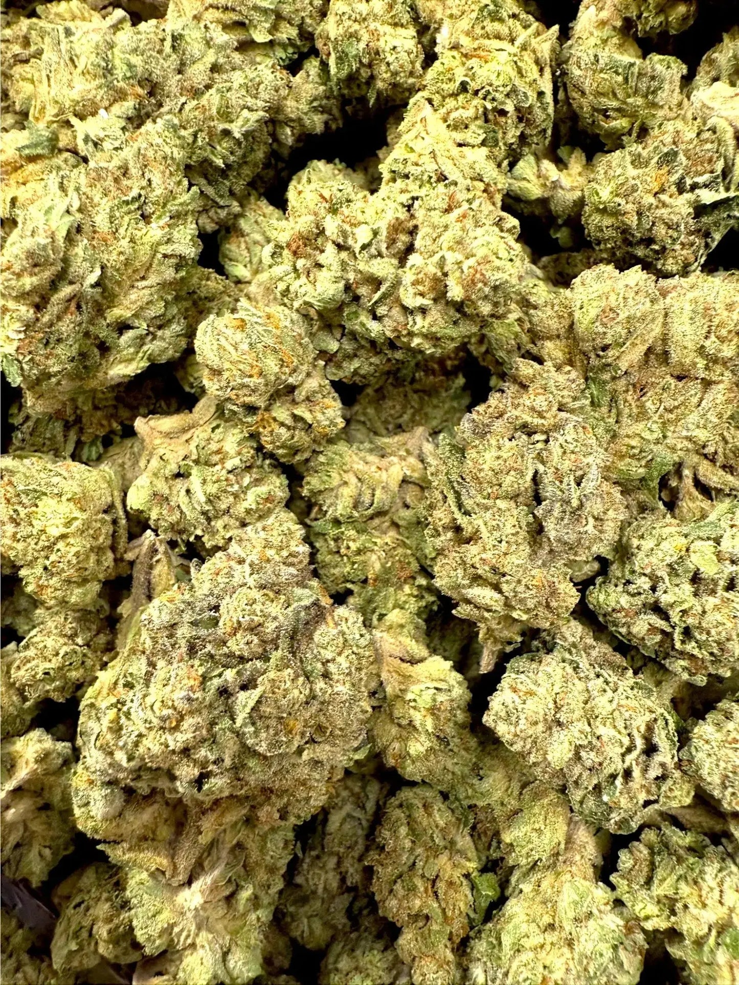 Frisco Labs - Grease Monkey Strain THCA