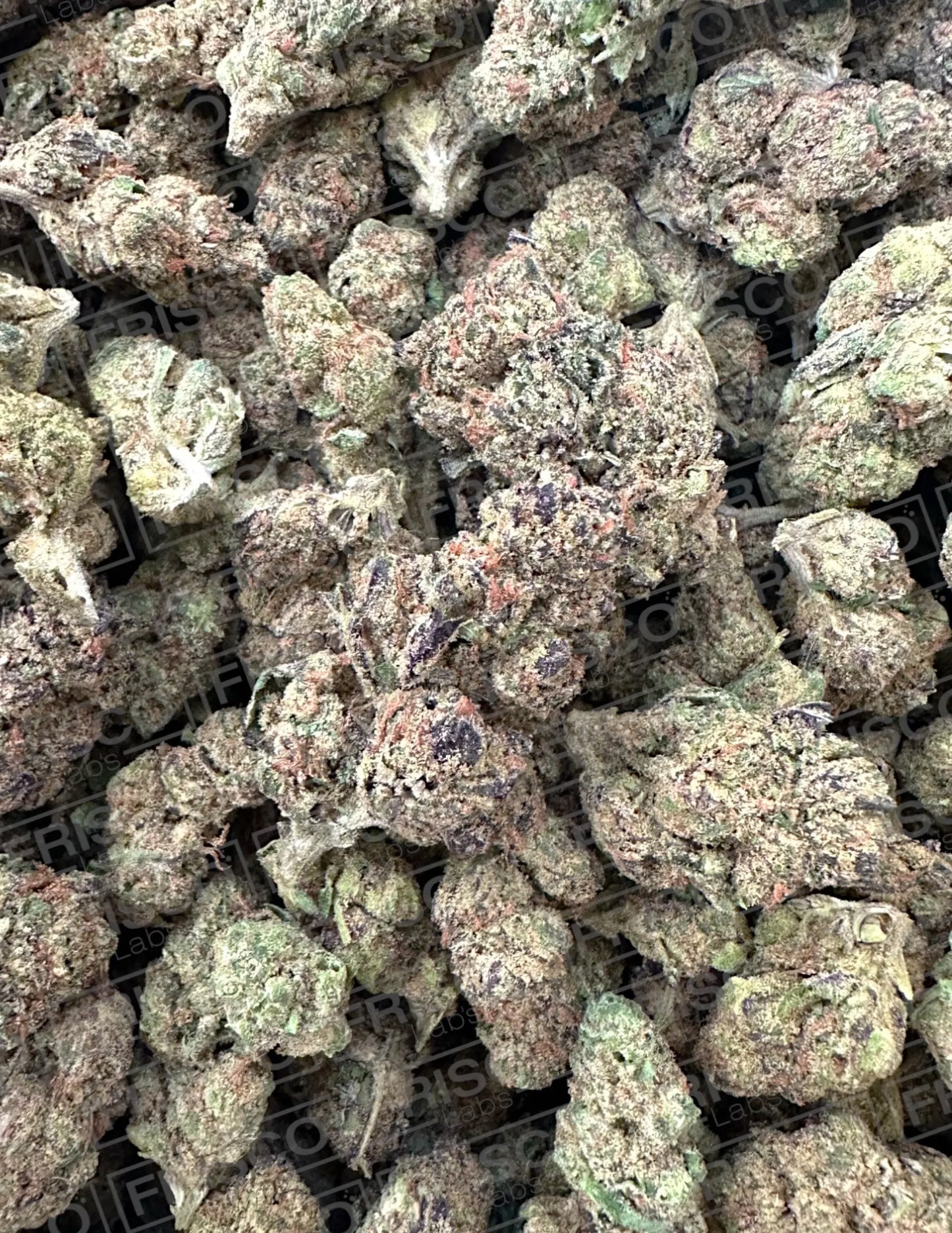 Frisco Labs - Indoor Exotic - Blueberry Muffin THCA Strain Frisco Labs