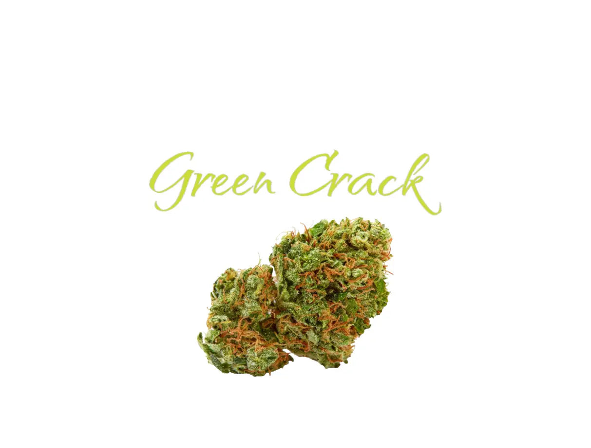 Green Crack Indoor THCa Flower - Frisco Labs