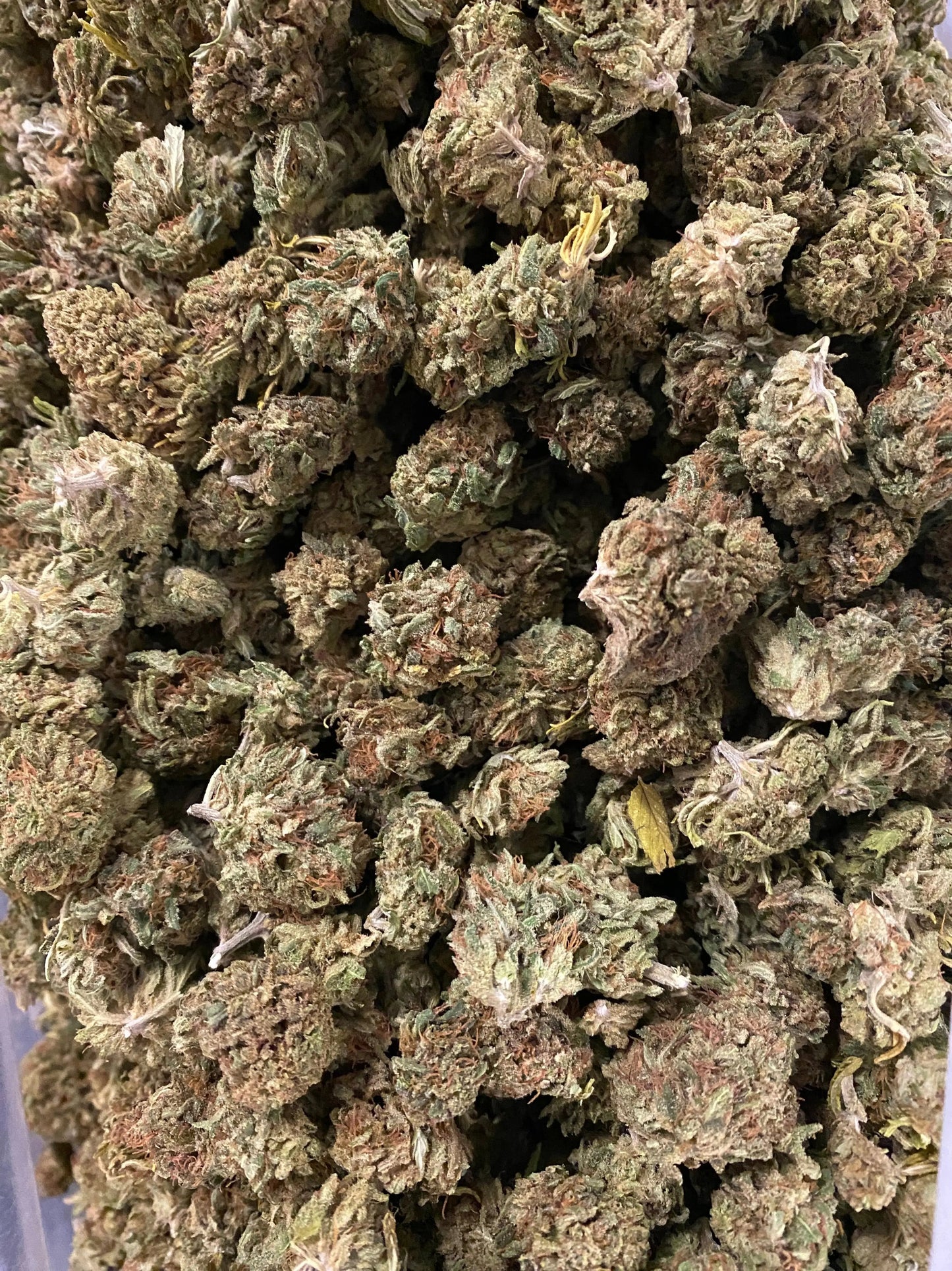 Hawaiian Dream CBD - Frisco Labs