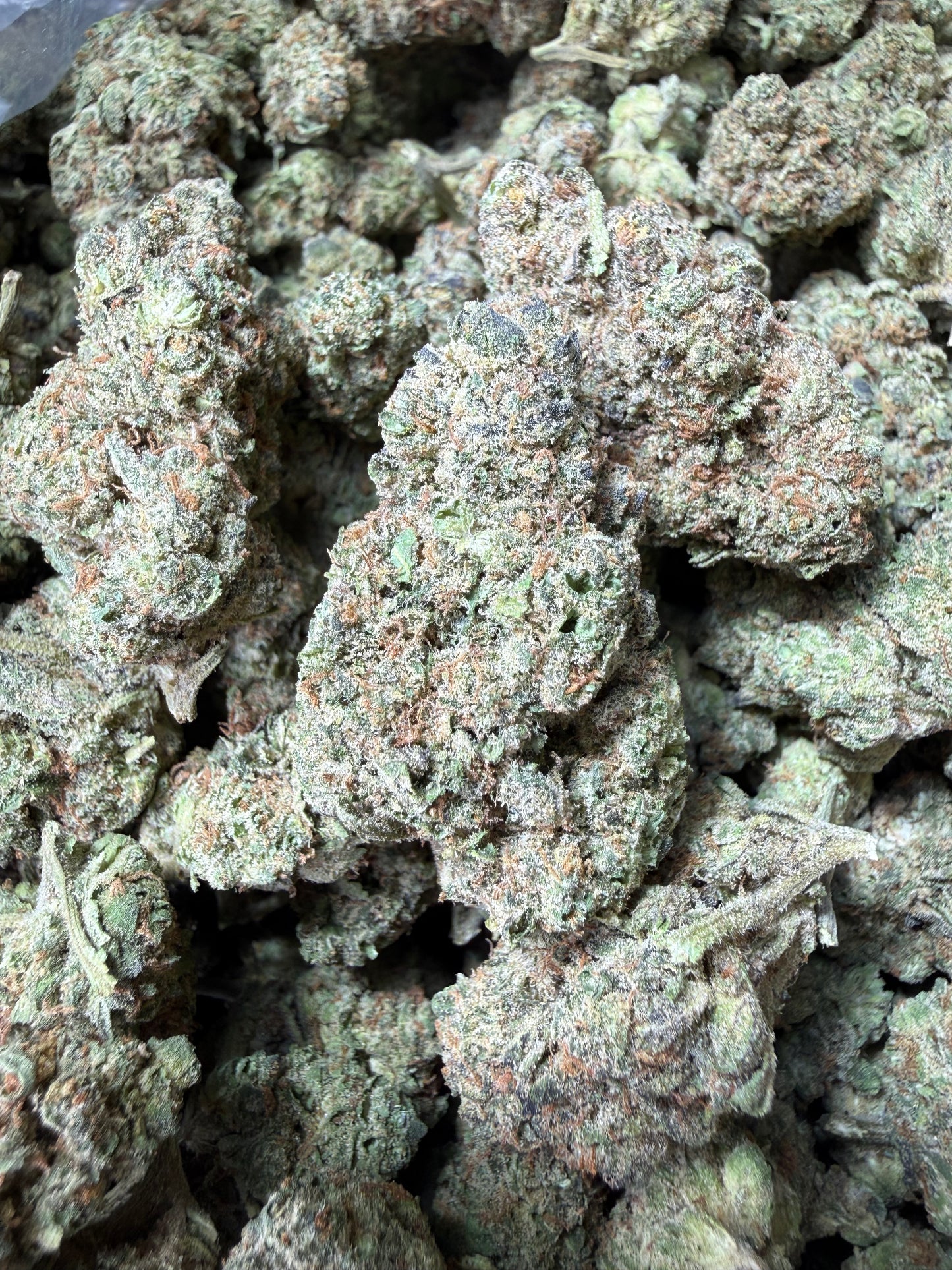 1 Pound - King Bling THCA Strain
