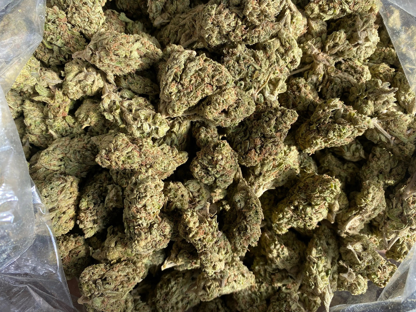 Tuscon Gelato THCA - Frisco Labs