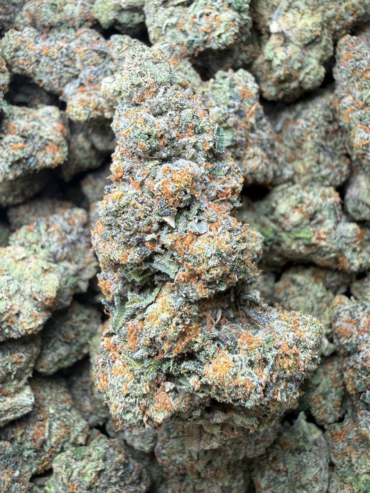 🔥 ⅛ oz – Gelato #41 THCA (Indoor) FL Fulfillment Center