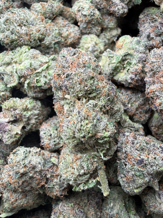 🔥 ⅛ oz – Gelato Bird #33 (Indoor) FL Fulfillment Center