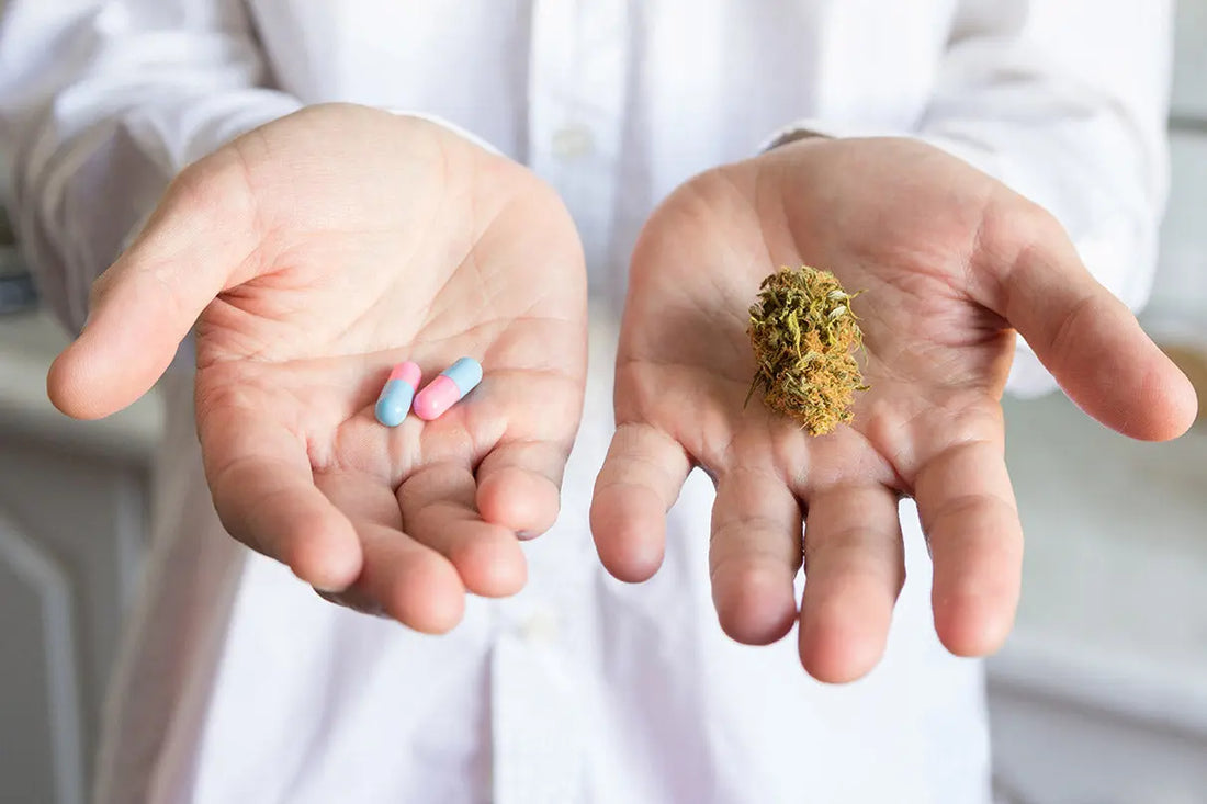 FDA guidance for cannabis