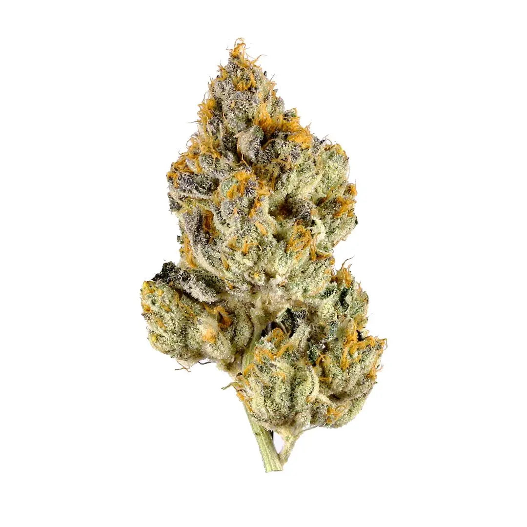 Best-Indoor-Cannabis-Strands-2023 Frisco Labs