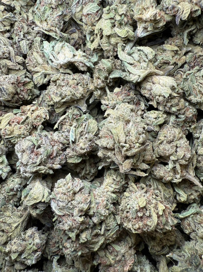 1/2 Pound - Lemon Cherry Gelato X Wedding Cake THCA Frisco Labs