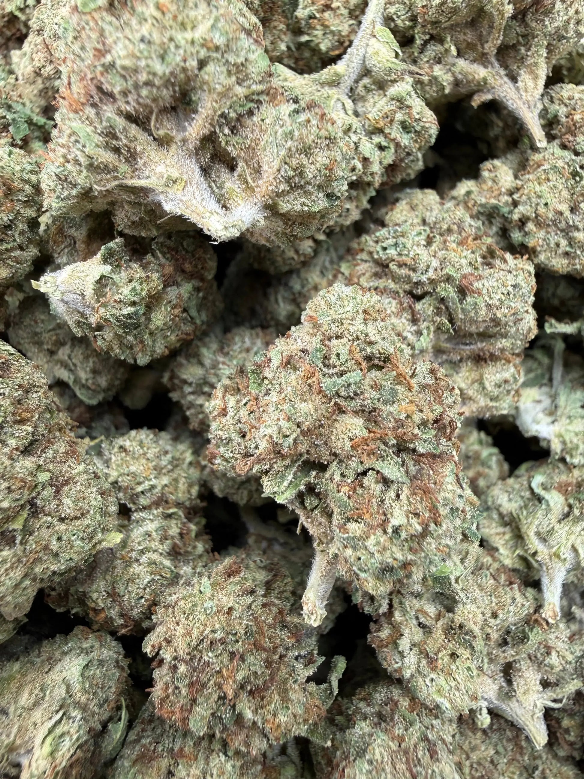 1 Pound - Permanent Marker THCA Strain Frisco Labs