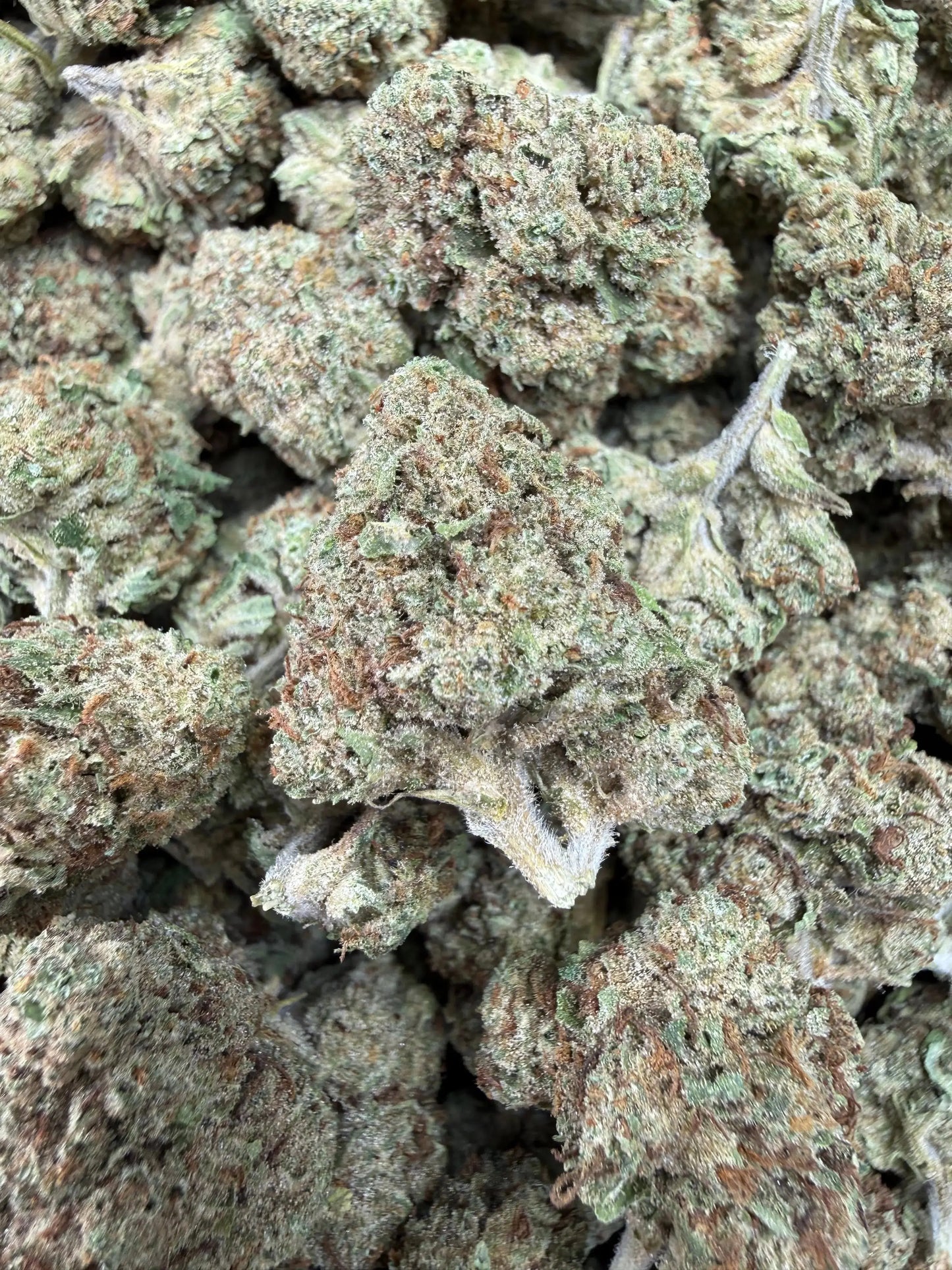 1 Pound - Permanent Marker THCA Strain Frisco Labs