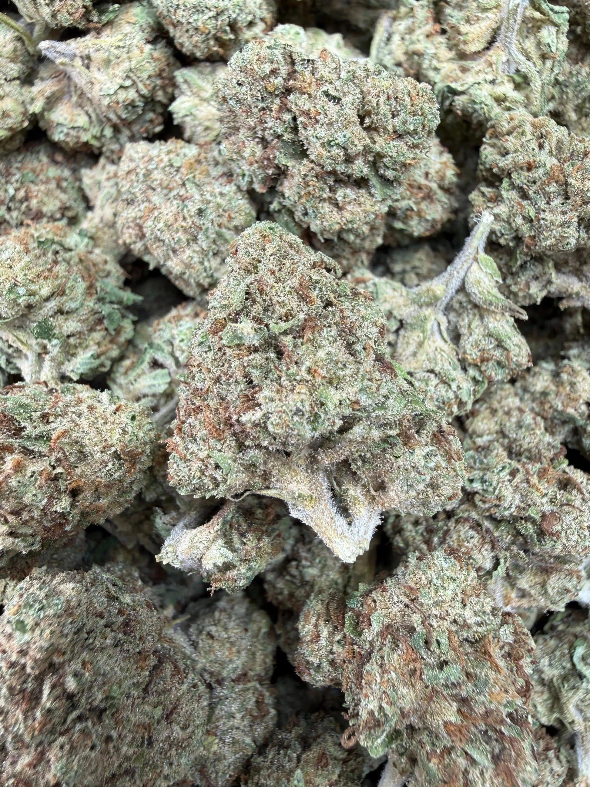 1 Pound - Permanent Marker THCA Strain Frisco Labs