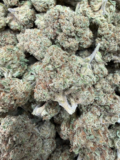 1 Pound - Permanent Marker THCA Strain Frisco Labs