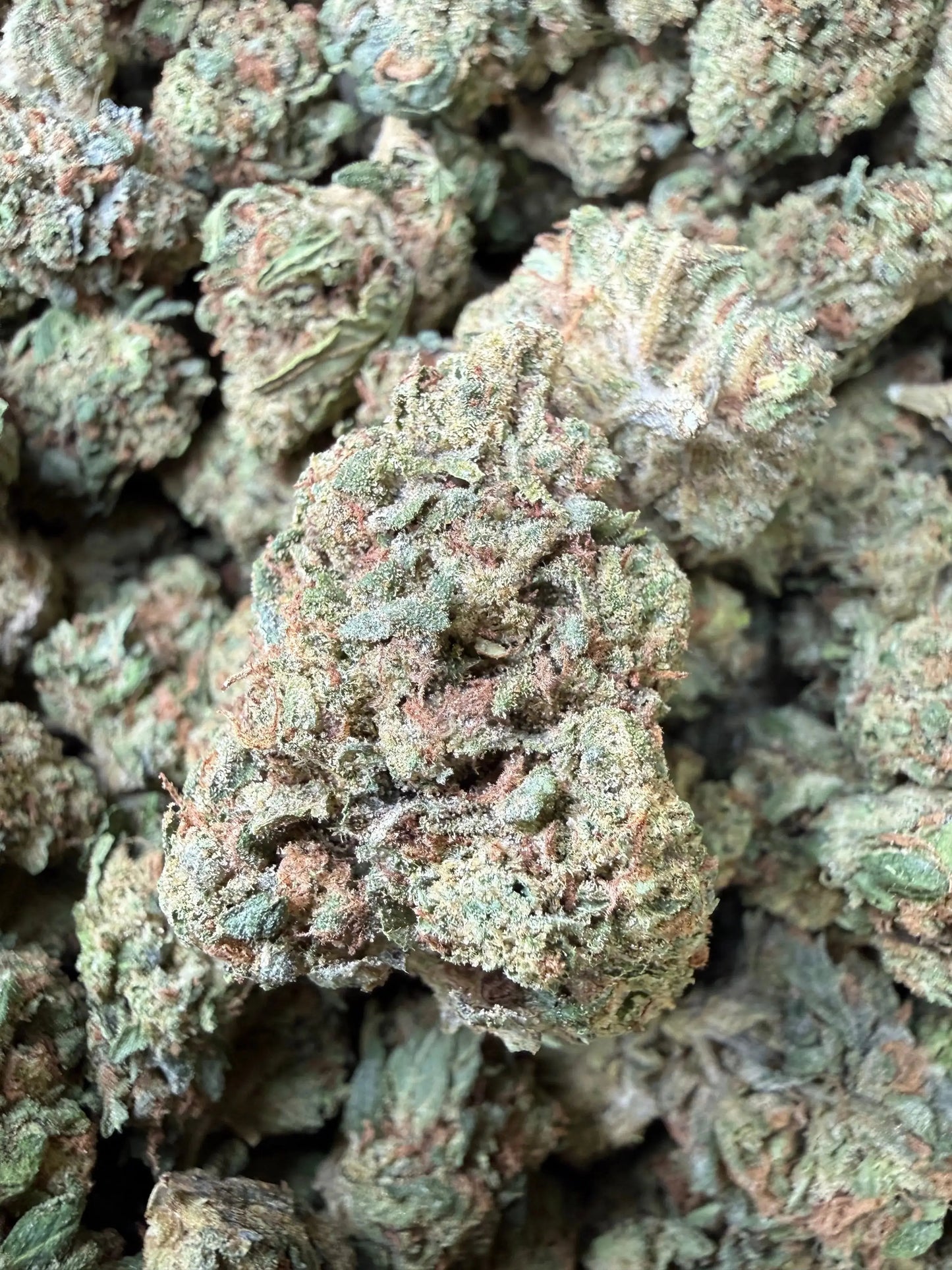 1 Pound -  Super Wu Tang OG Strain Frisco Labs