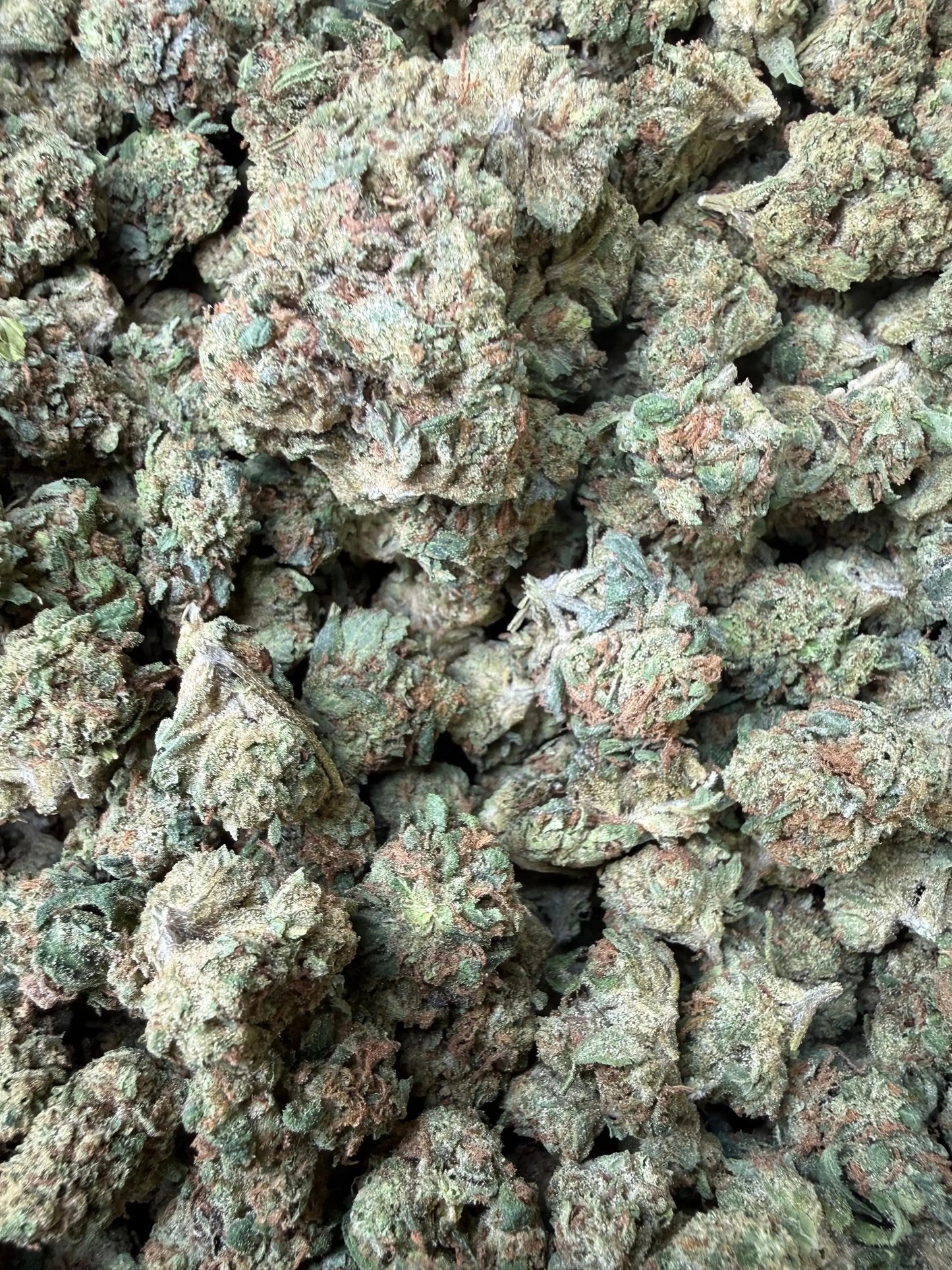 1 Pound -  Super Wu Tang OG Strain Frisco Labs