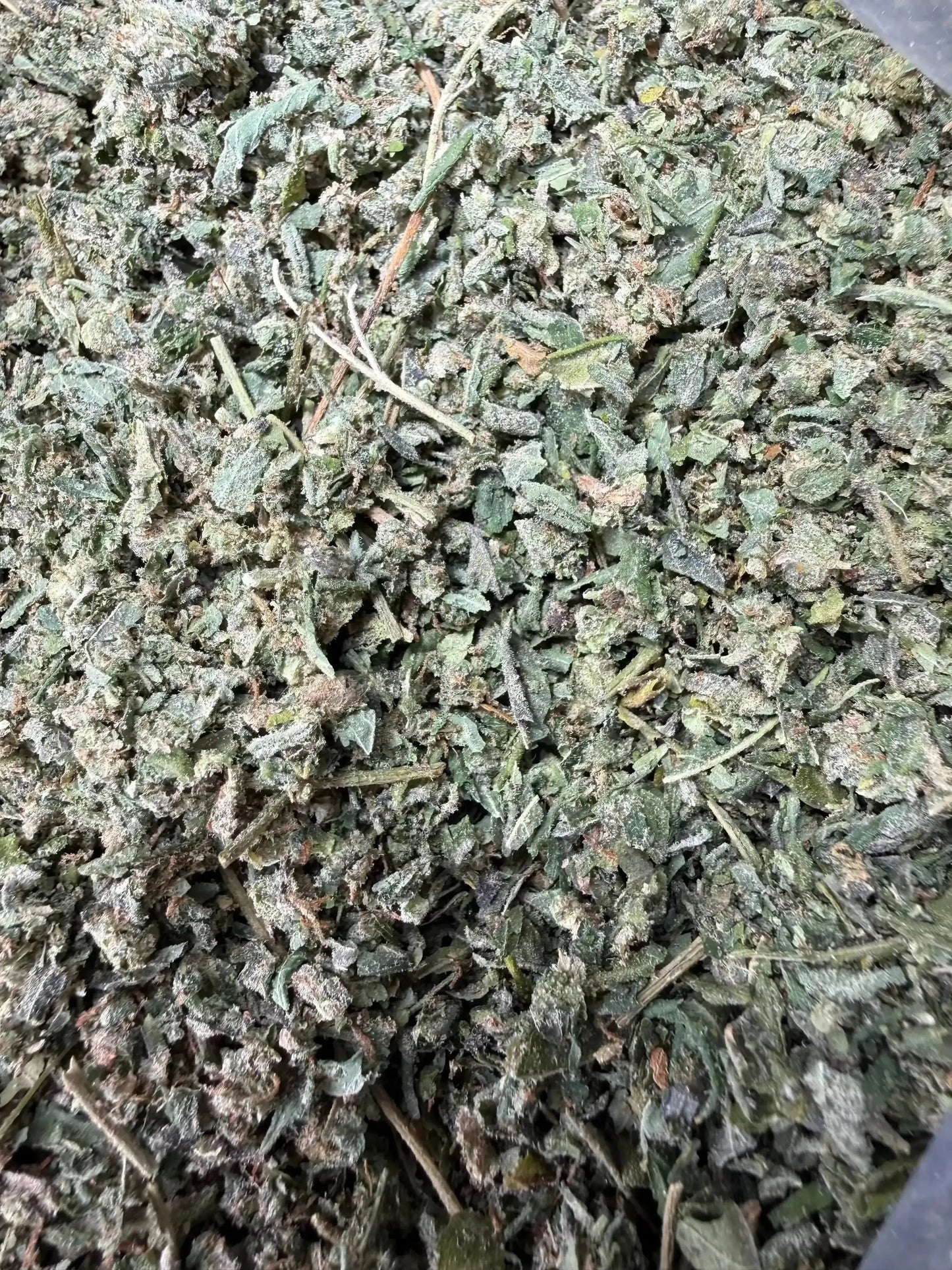 1 Pound Wholesale THCA Trim Shake Frisco Labs